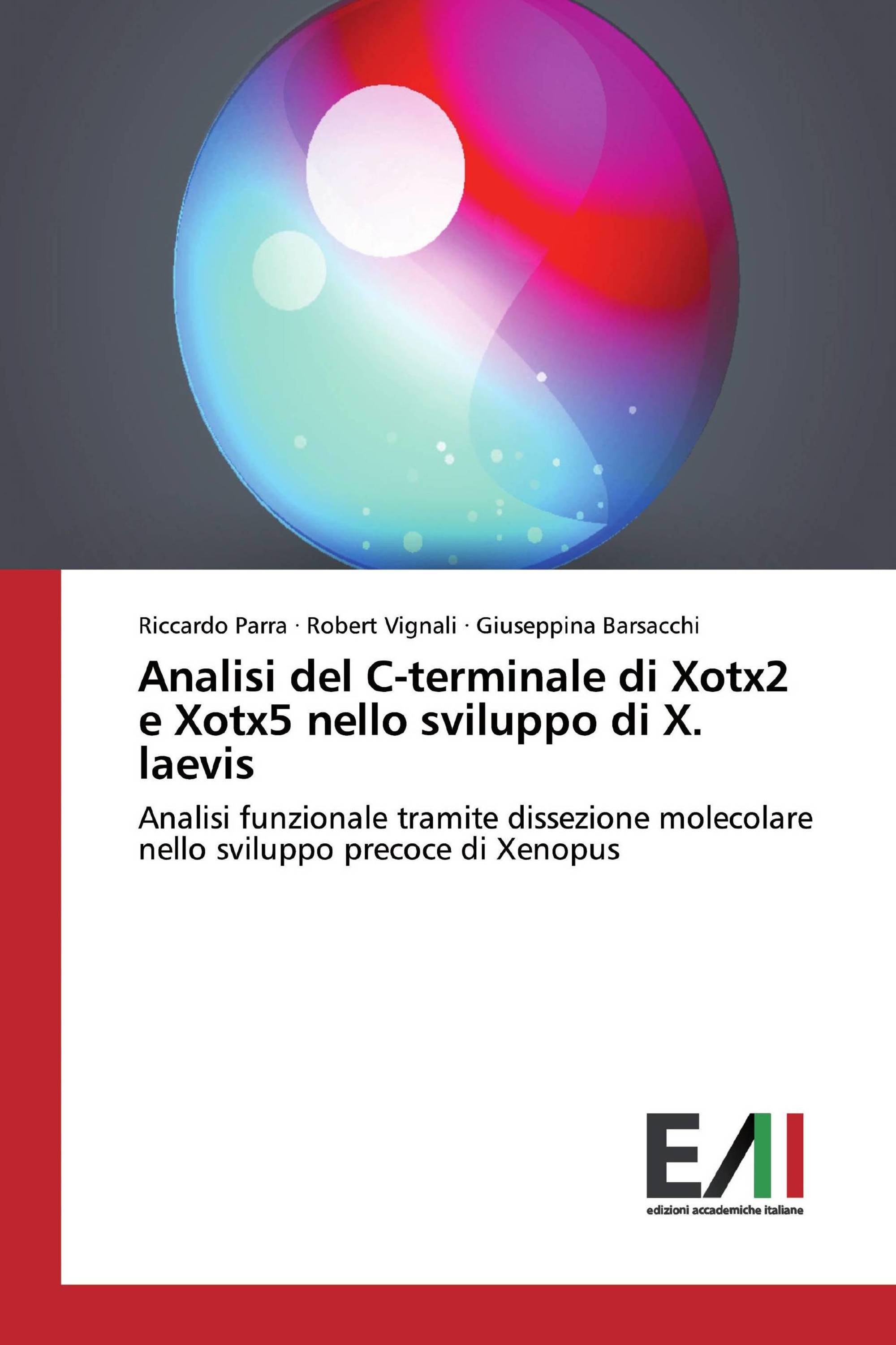 Analisi del C-terminale di Xotx2 e Xotx5 nello sviluppo di X. laevis