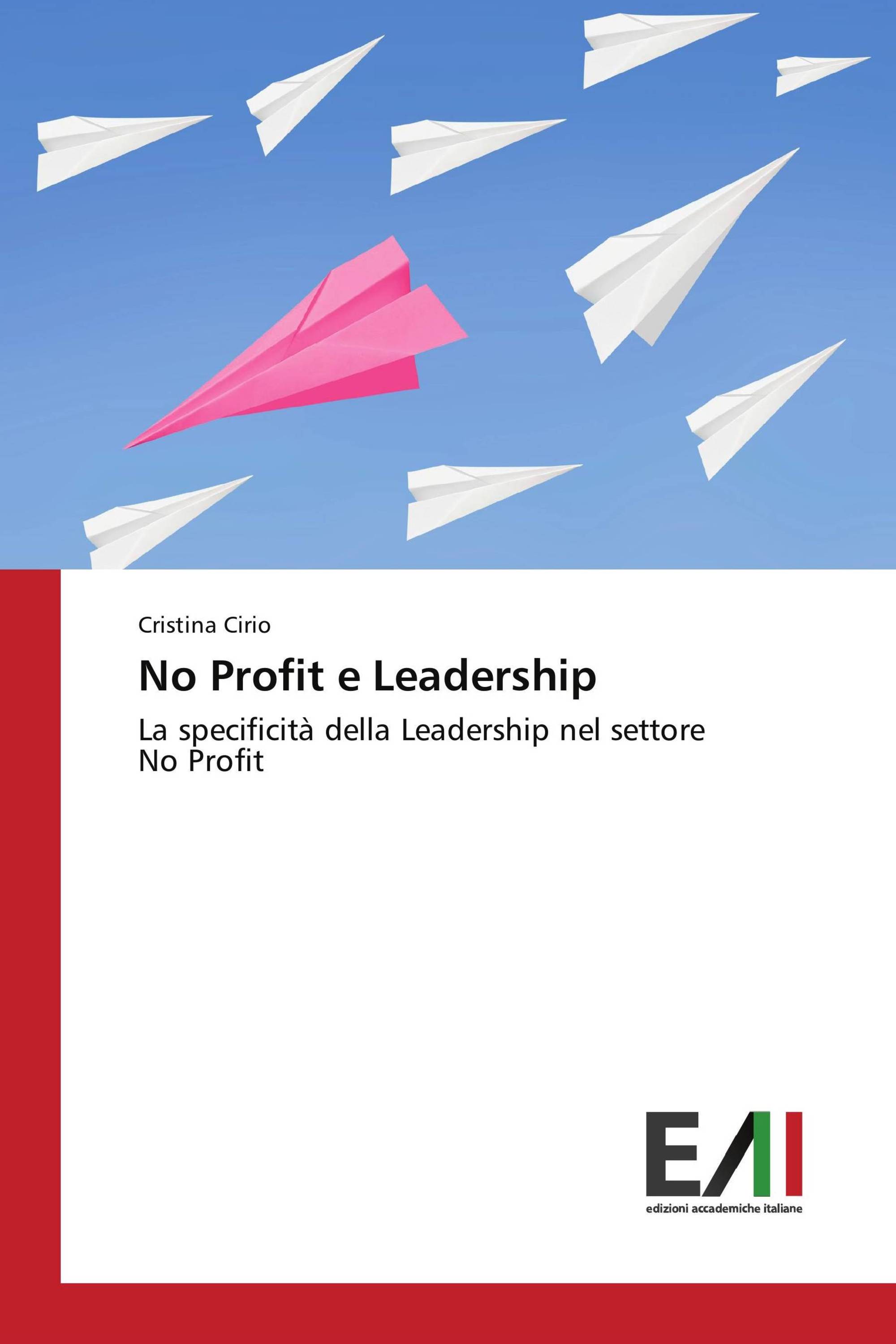 No Profit e Leadership