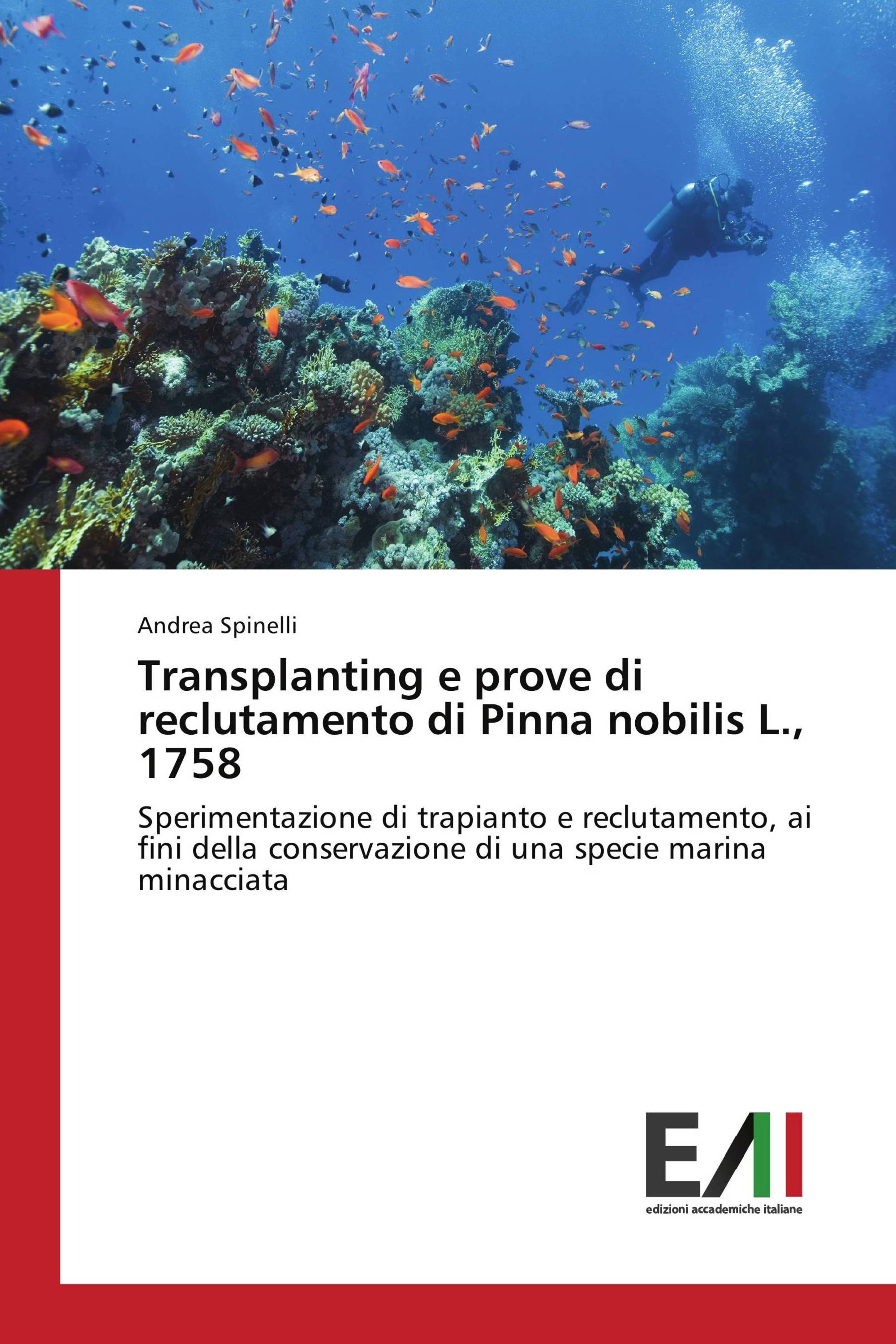 Transplanting e prove di reclutamento di Pinna nobilis L., 1758