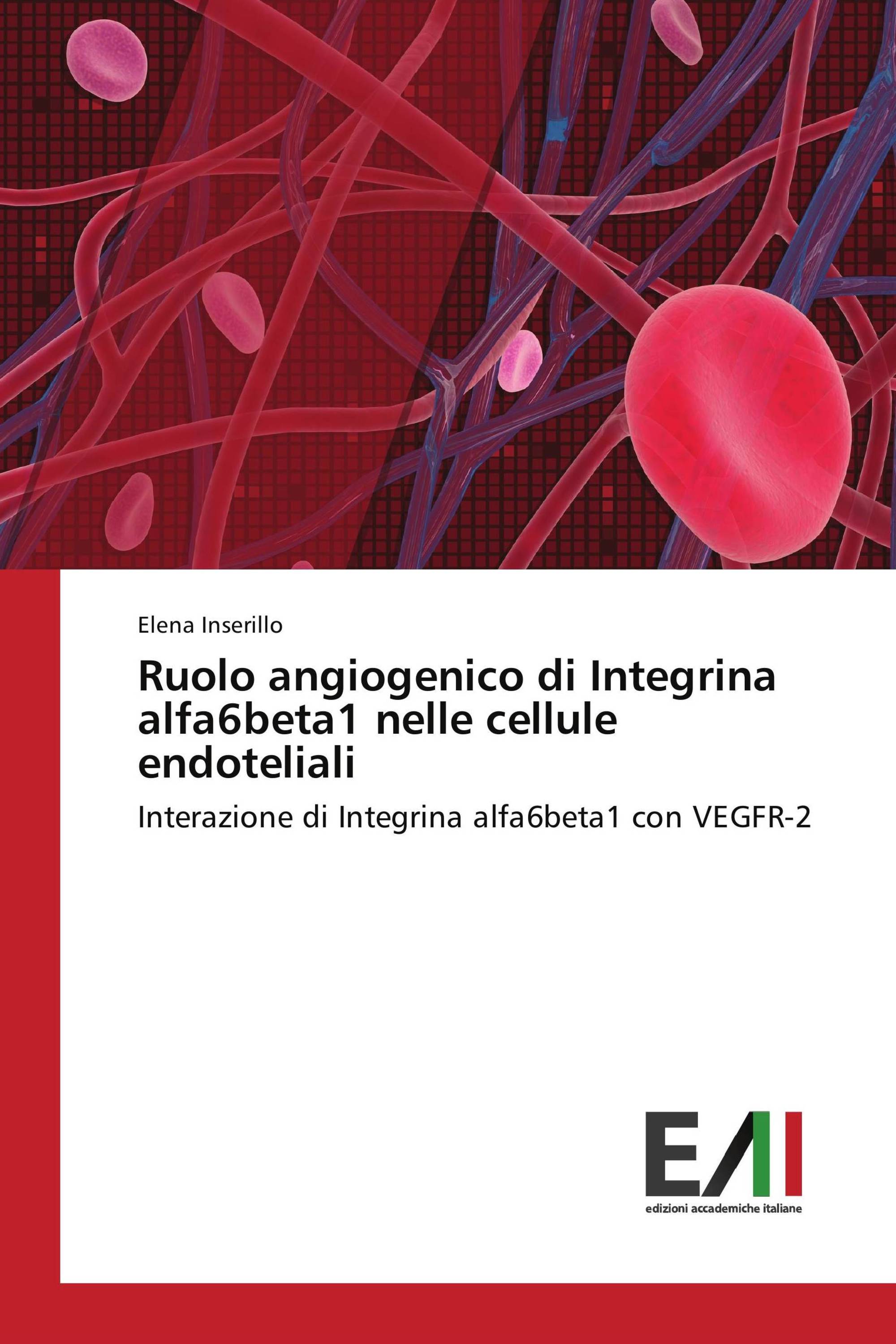 Ruolo angiogenico di Integrina alfa6beta1 nelle cellule endoteliali