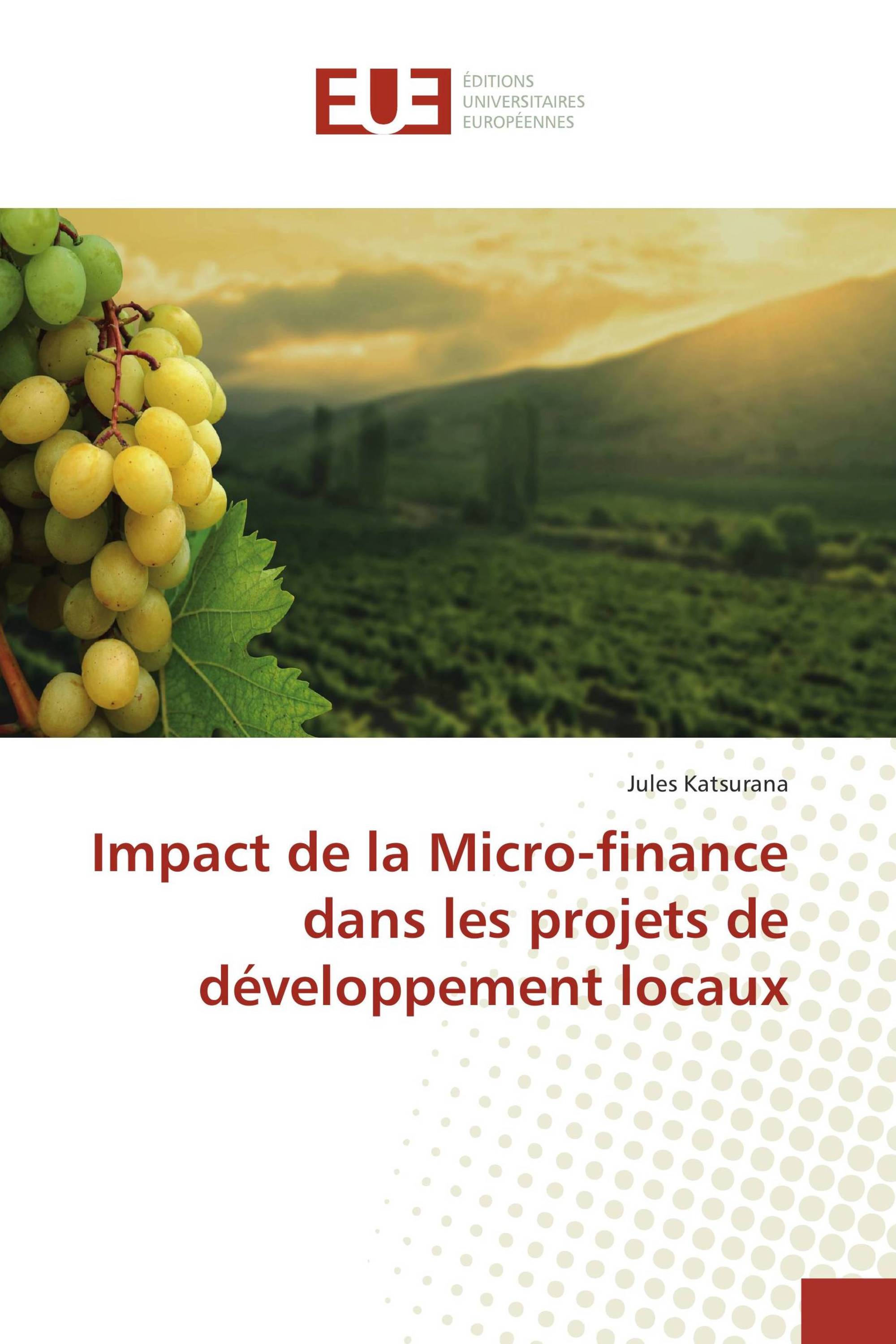 Impact de la Micro-finance dans les projets de développement locaux