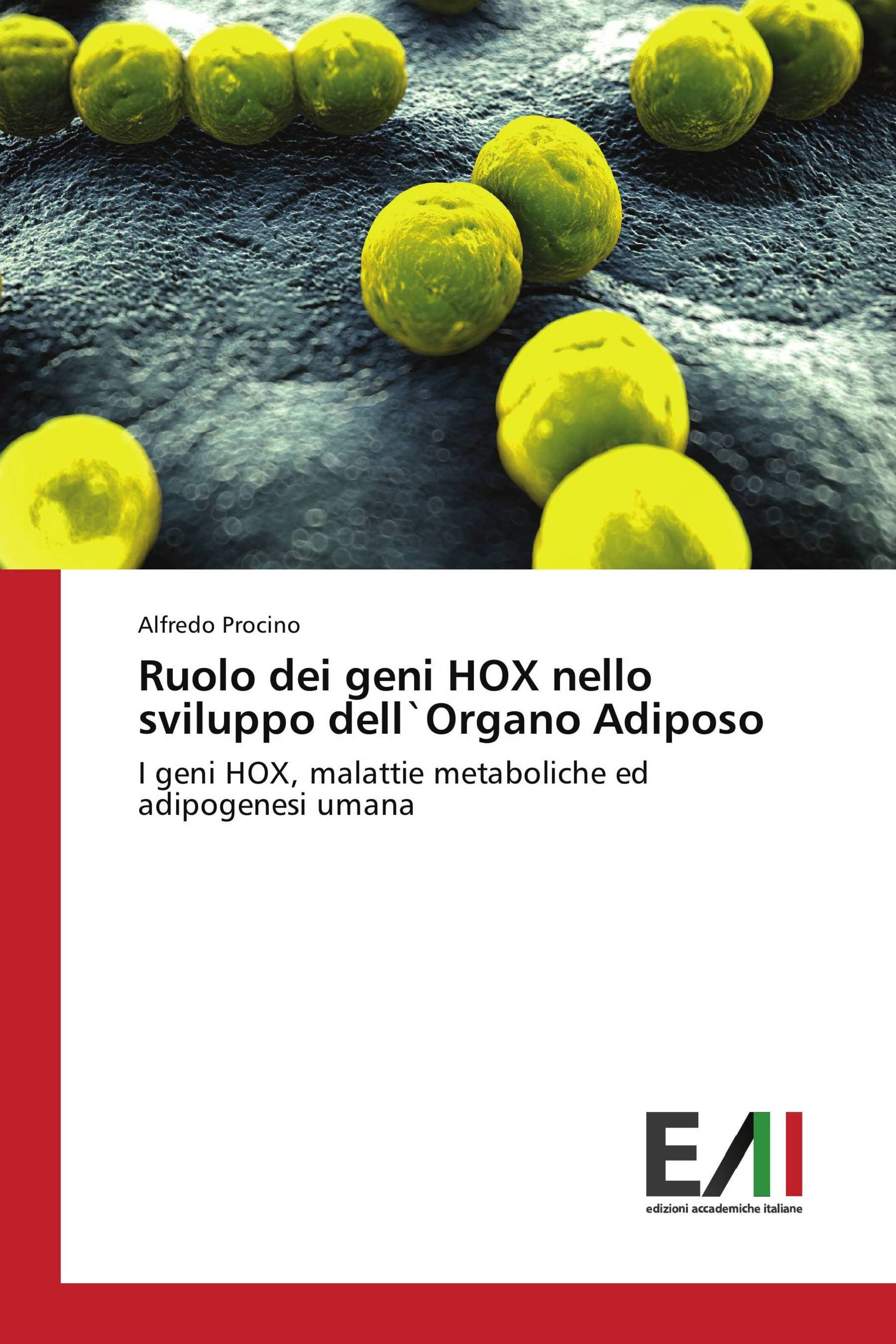 Ruolo dei geni HOX nello sviluppo dell`Organo Adiposo