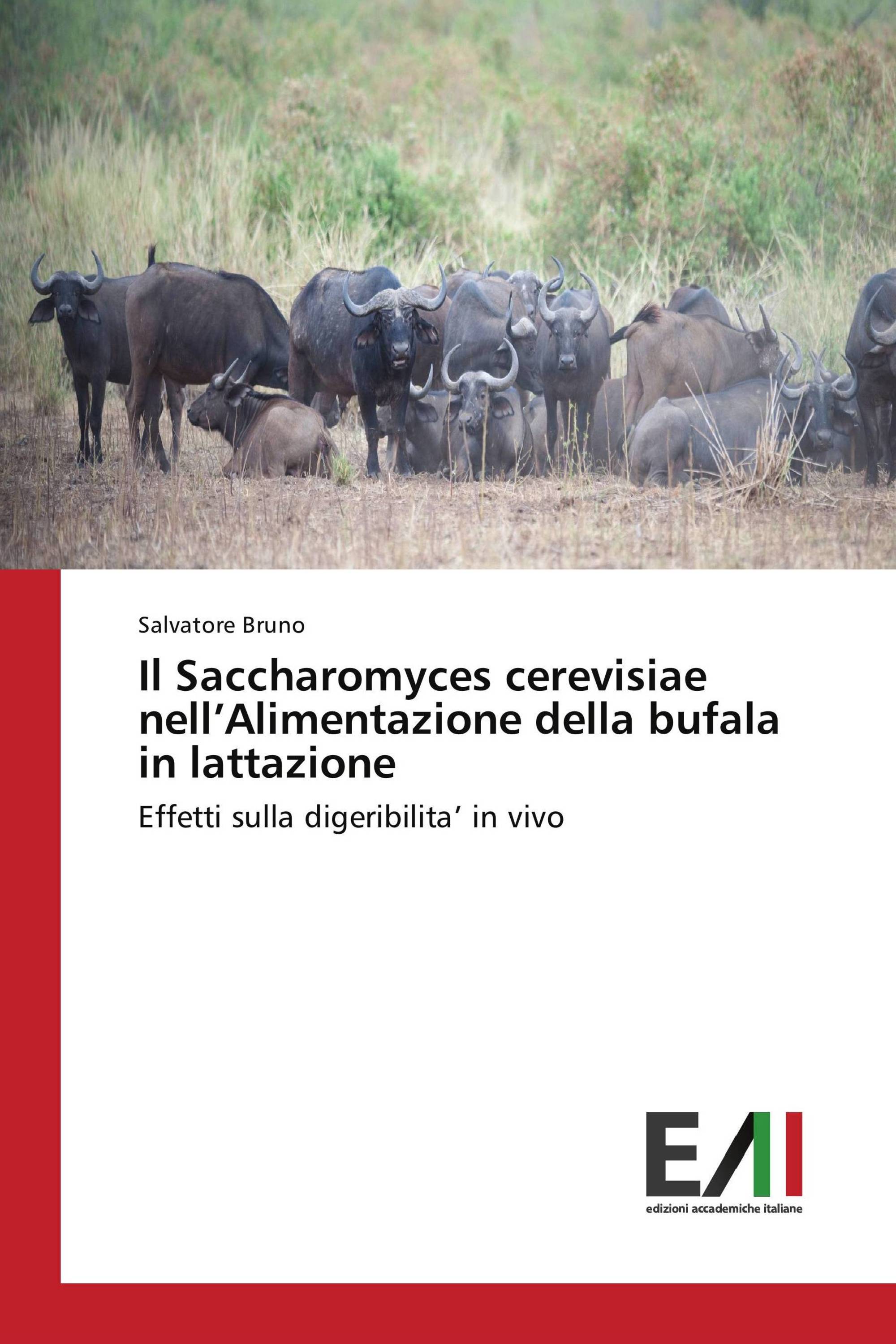 Il Saccharomyces cerevisiae nell’Alimentazione della bufala in lattazione