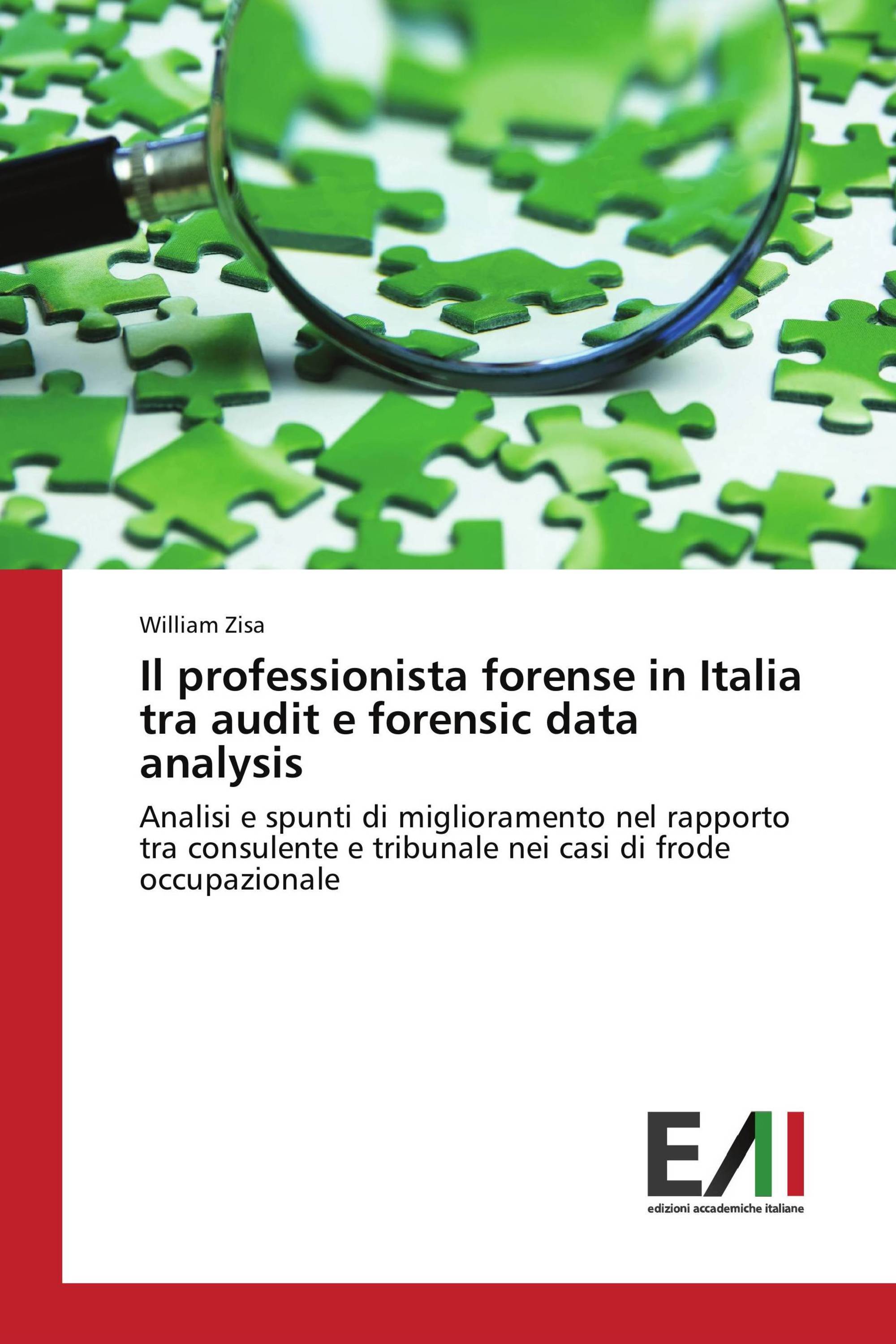 Il professionista forense in Italia tra audit e forensic data analysis