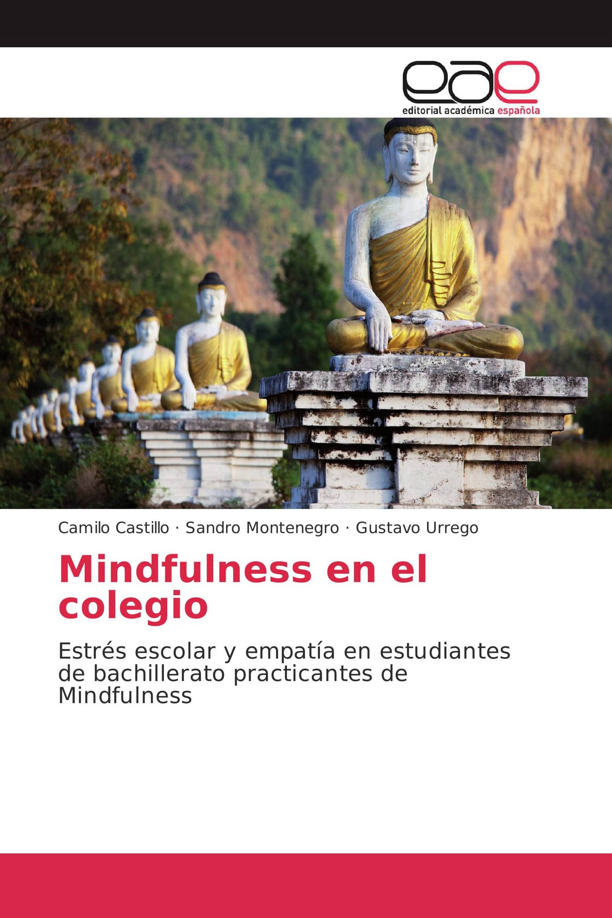 Mindfulness en el colegio