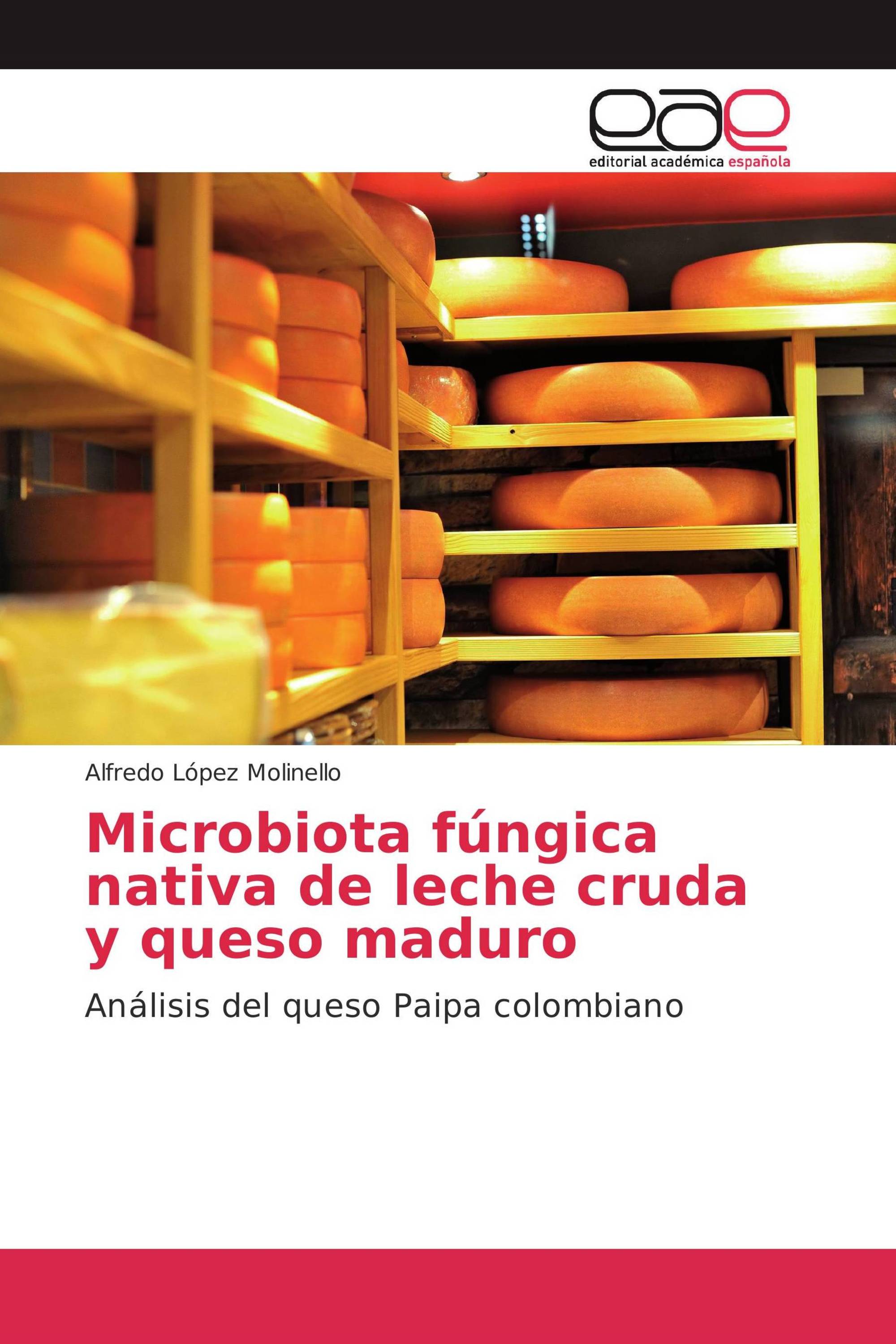 Microbiota fúngica nativa de leche cruda y queso maduro