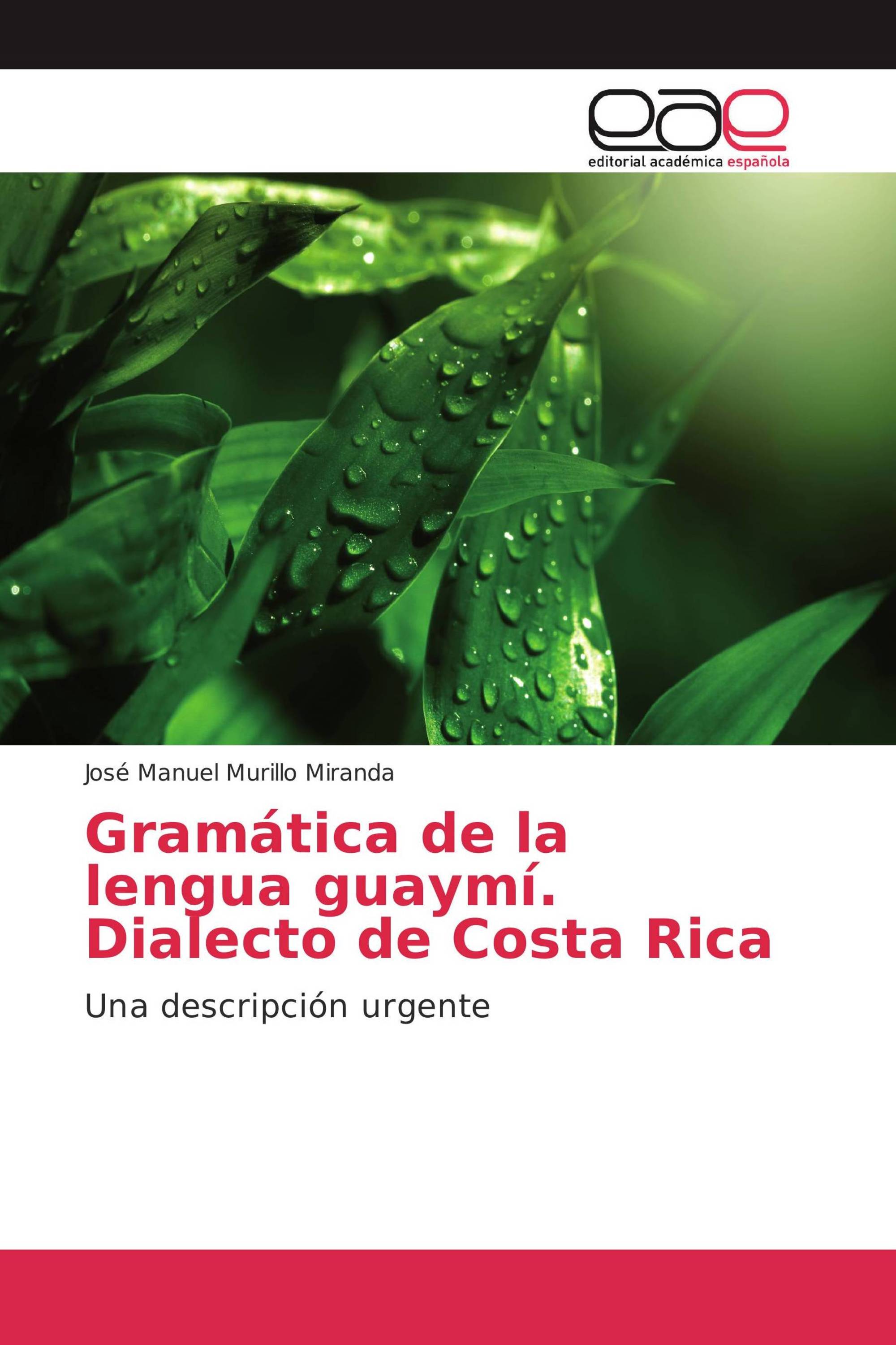 Gramática de la lengua guaymí. Dialecto de Costa Rica