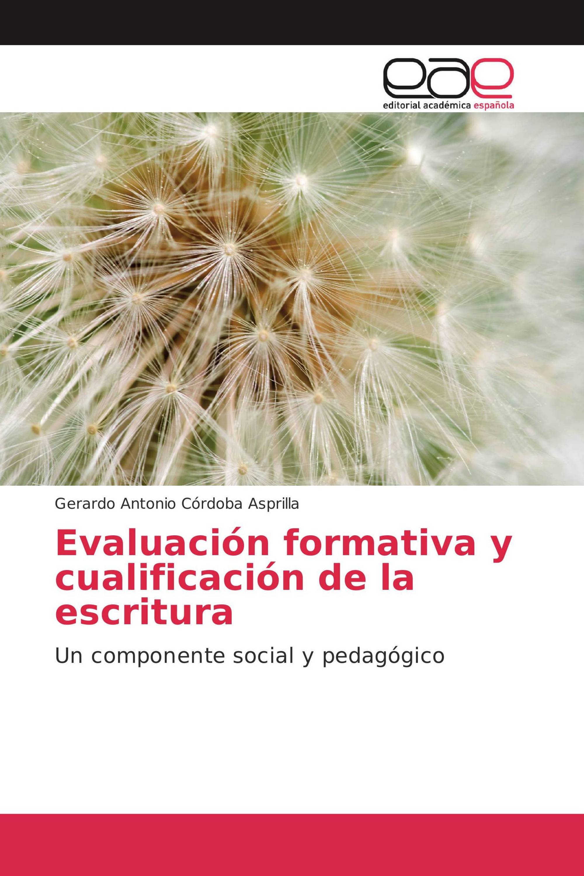 Evaluación formativa y cualificación de la escritura