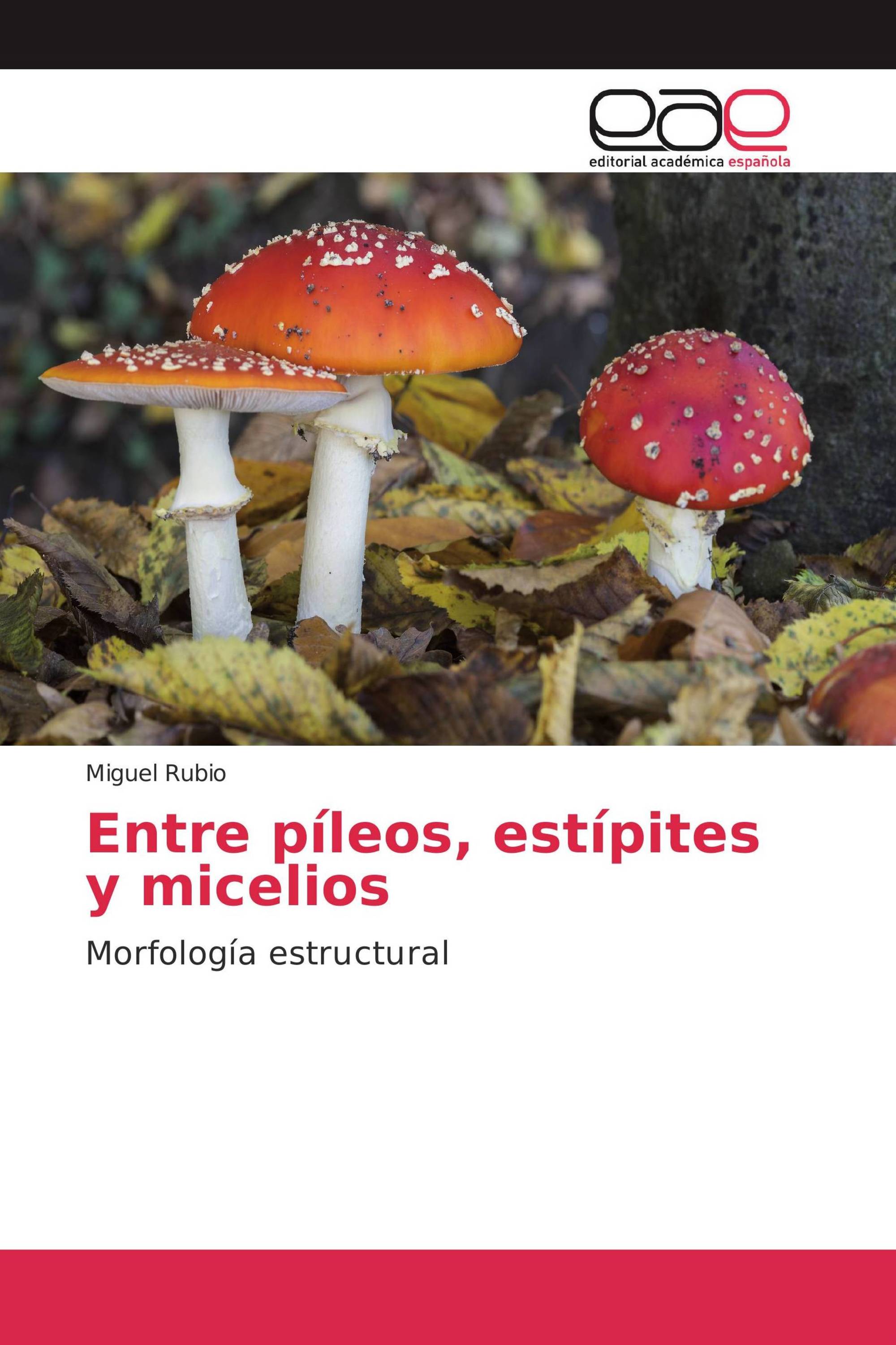 Entre píleos, estípites y micelios