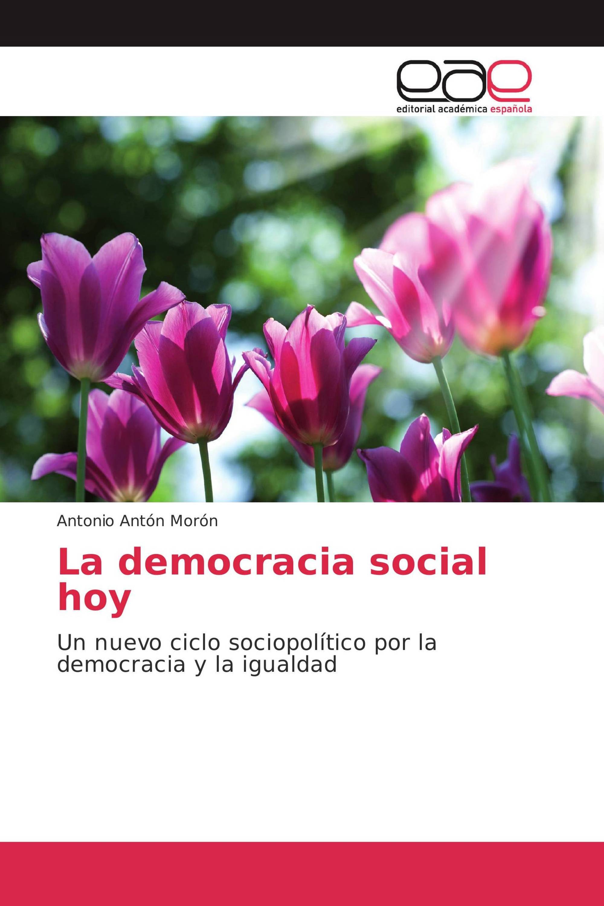 La democracia social hoy