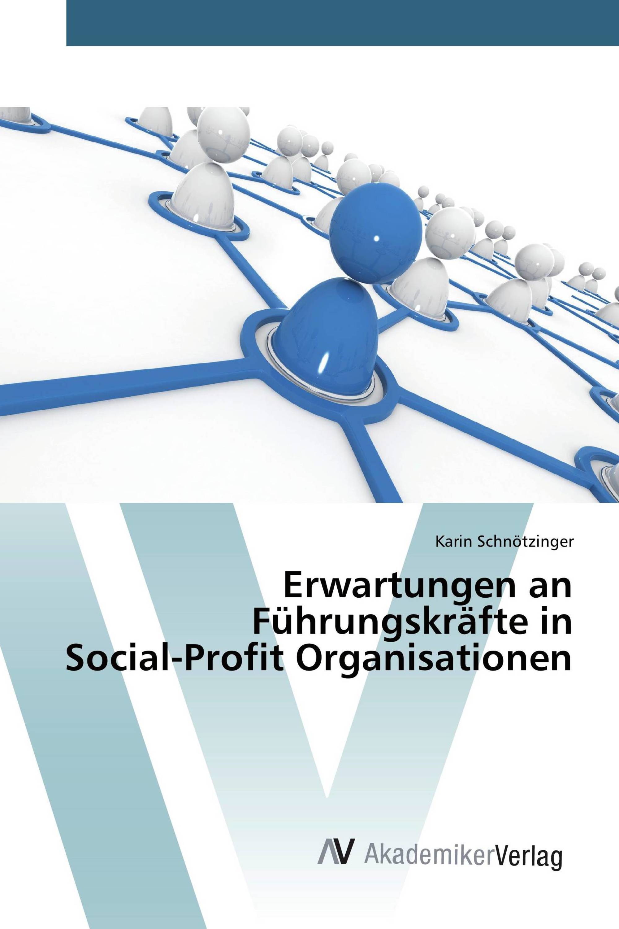 Erwartungen an Führungskräfte in Social-Profit Organisationen