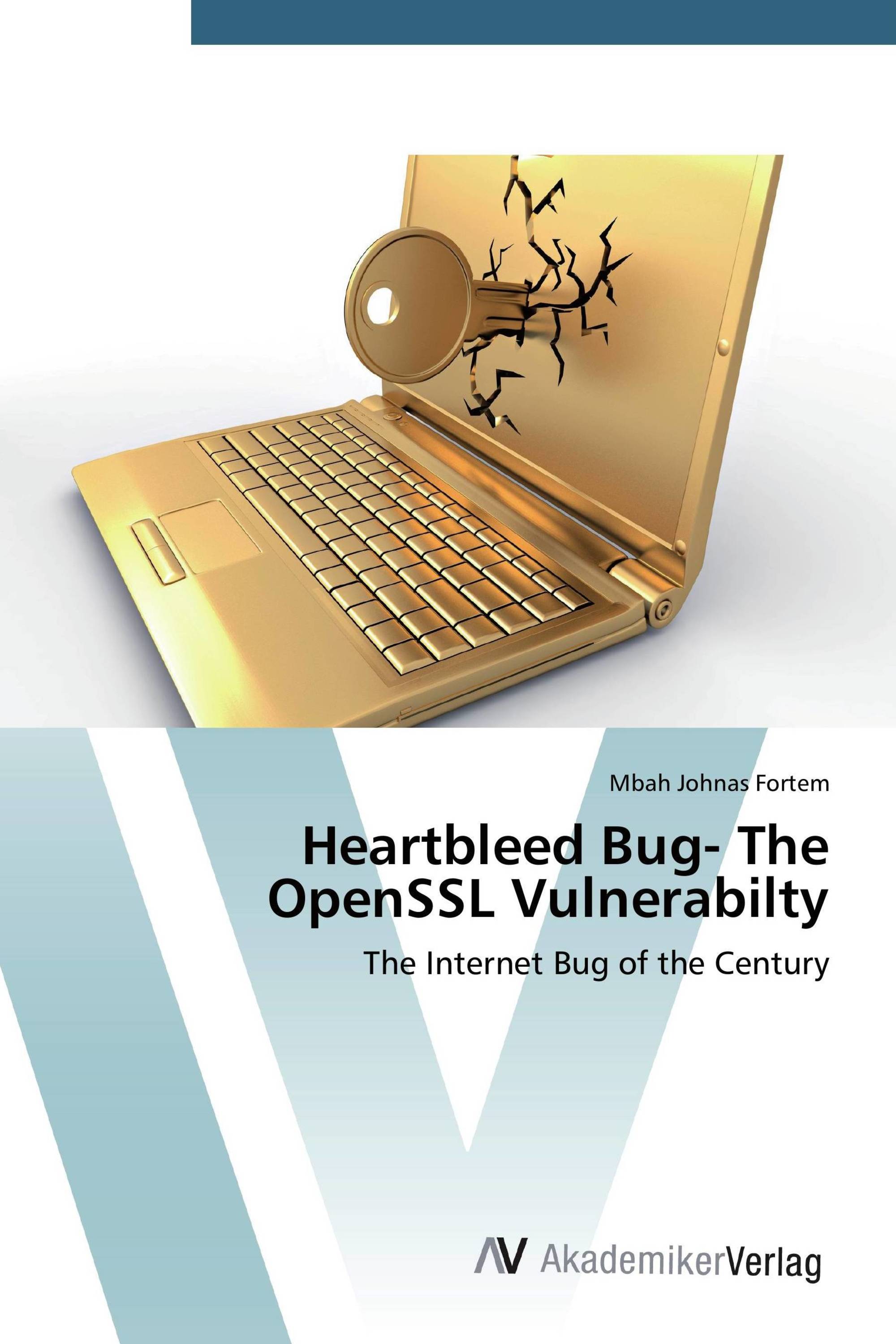 Heartbleed Bug- The OpenSSL Vulnerabilty