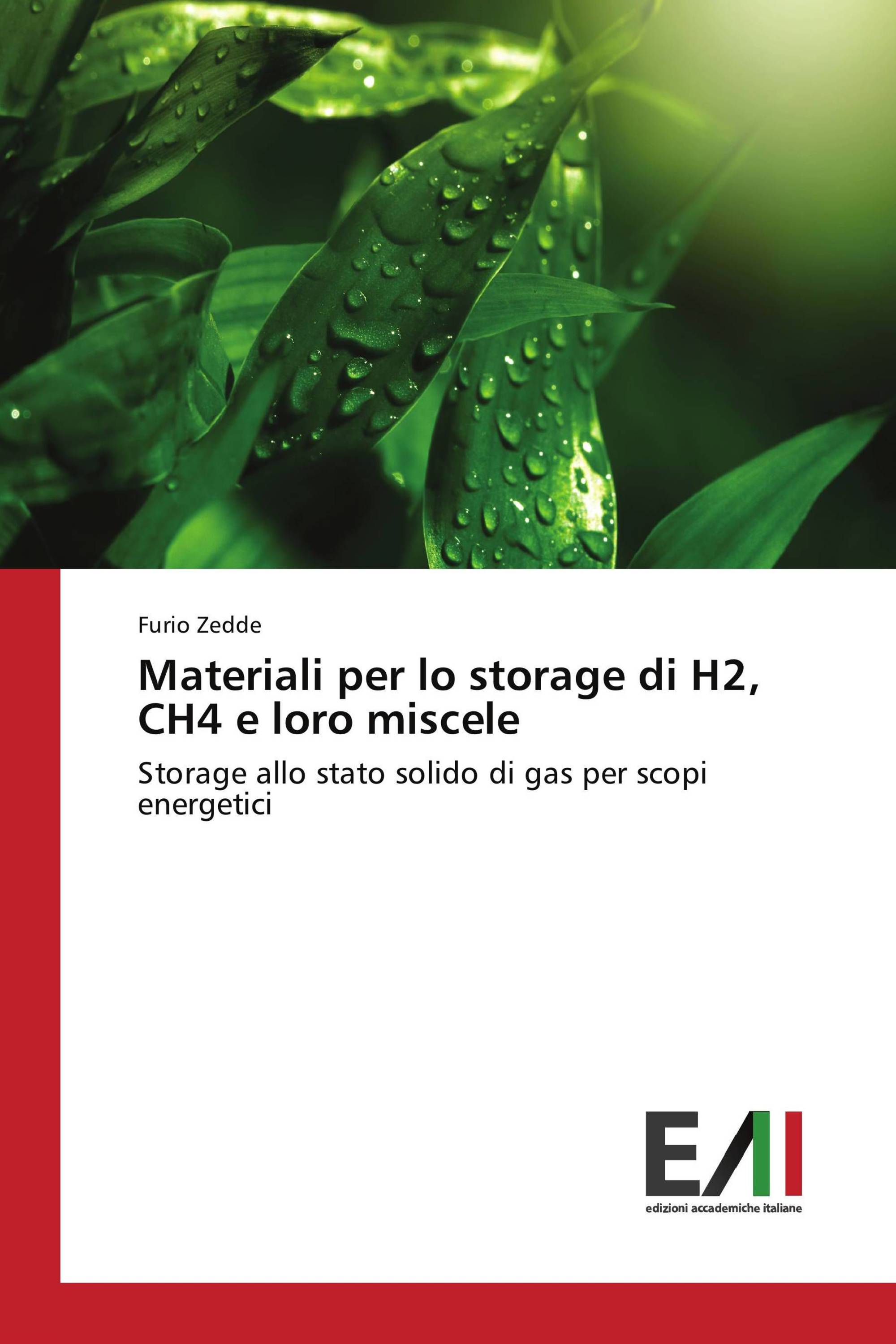 Materiali per lo storage di H2, CH4 e loro miscele