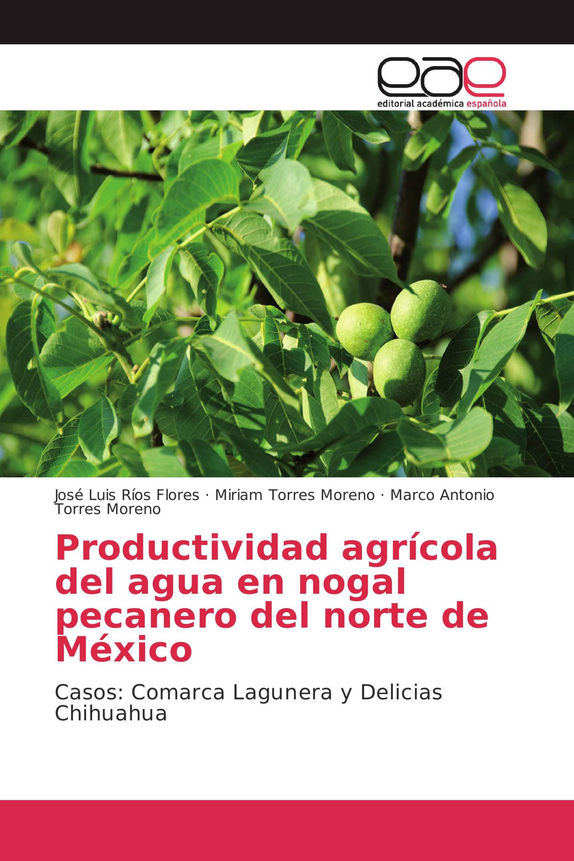 Productividad agrícola del agua en nogal pecanero del norte de México