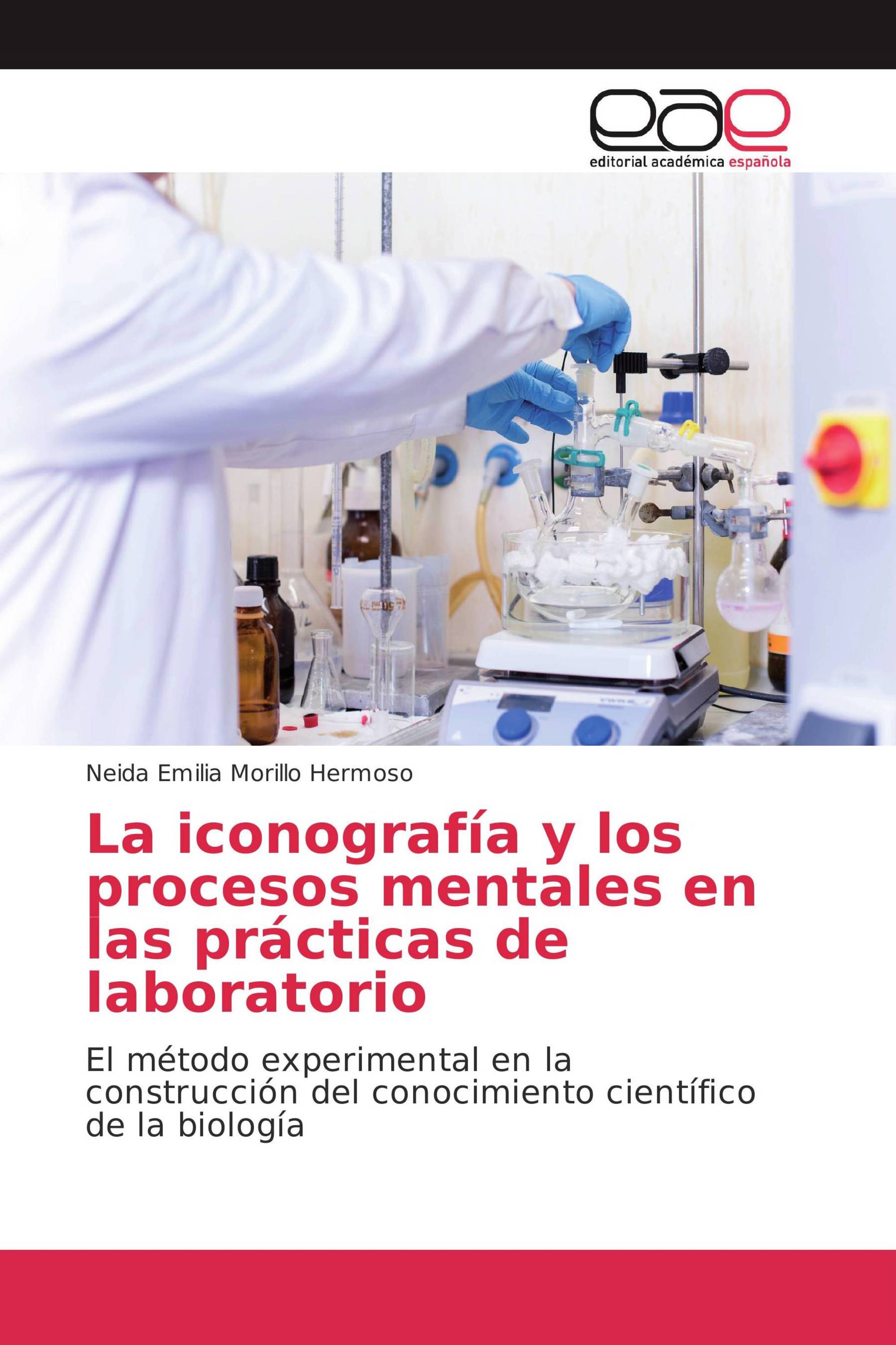 La iconografía y los procesos mentales en las prácticas de laboratorio