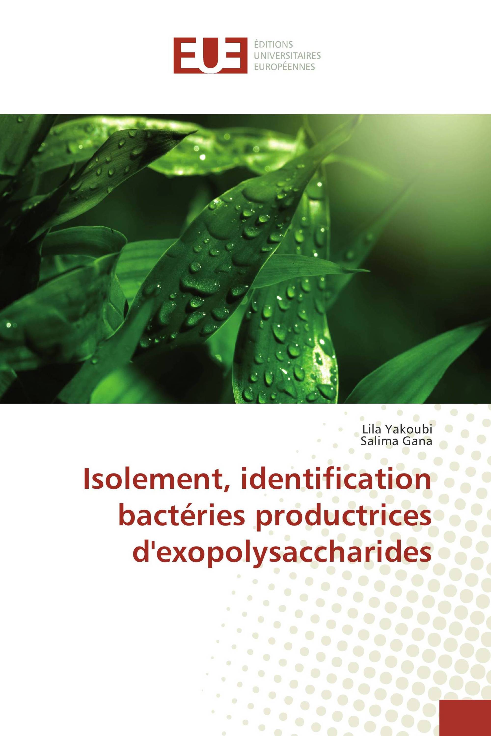 Isolement, identification bactéries productrices d'exopolysaccharides