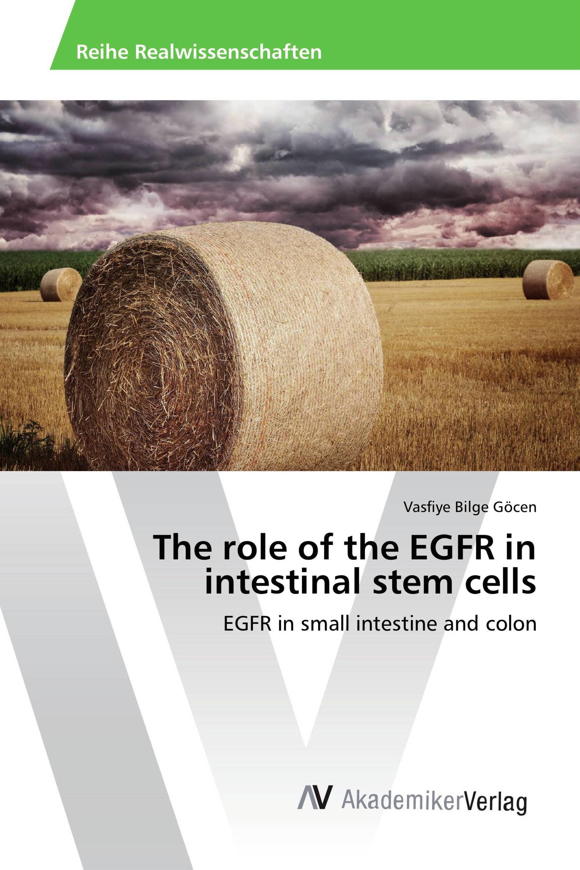 The role of the EGFR in intestinal stem cells