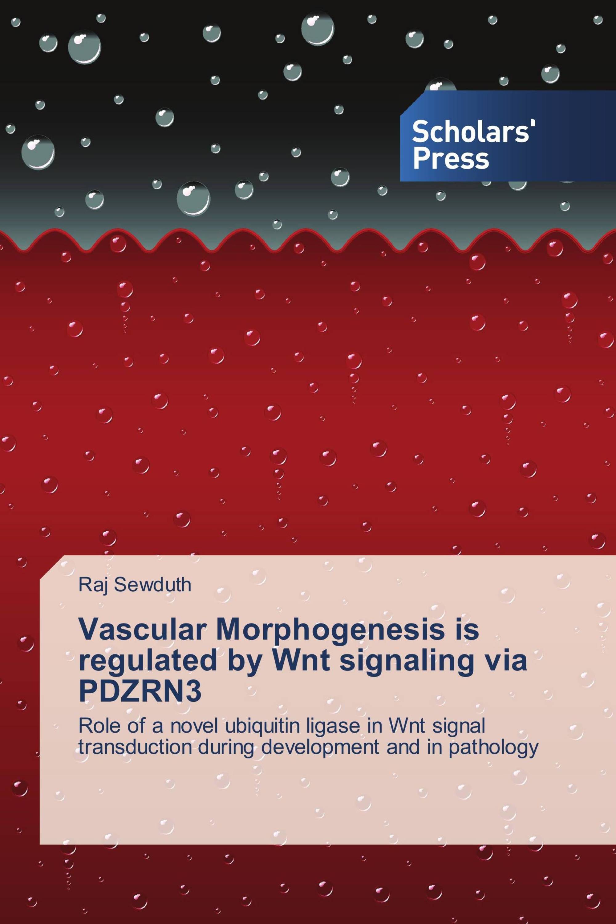 Vascular Morphogenesis is regulated by Wnt signaling via PDZRN3