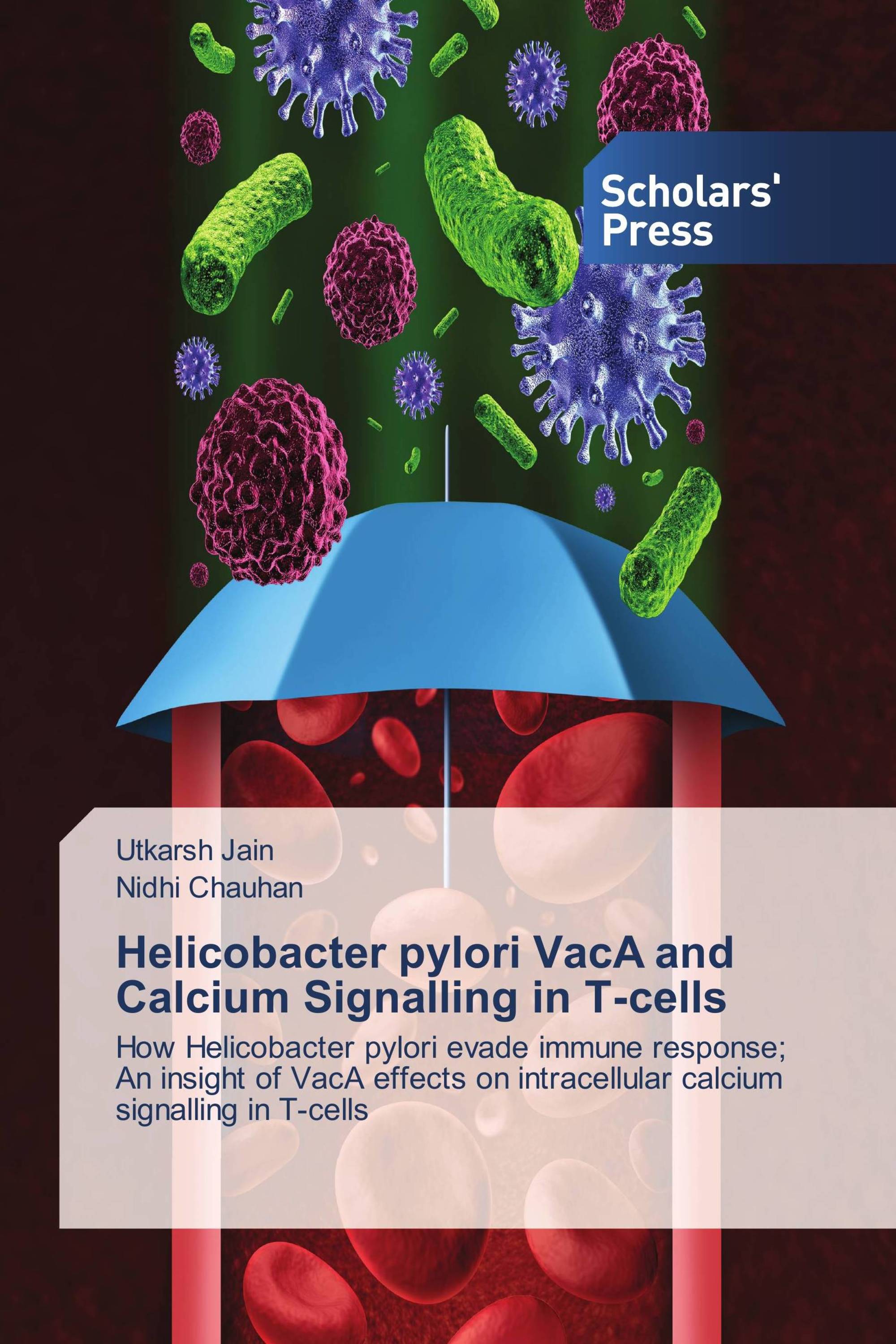 Helicobacter pylori VacA and Calcium Signalling in T-cells