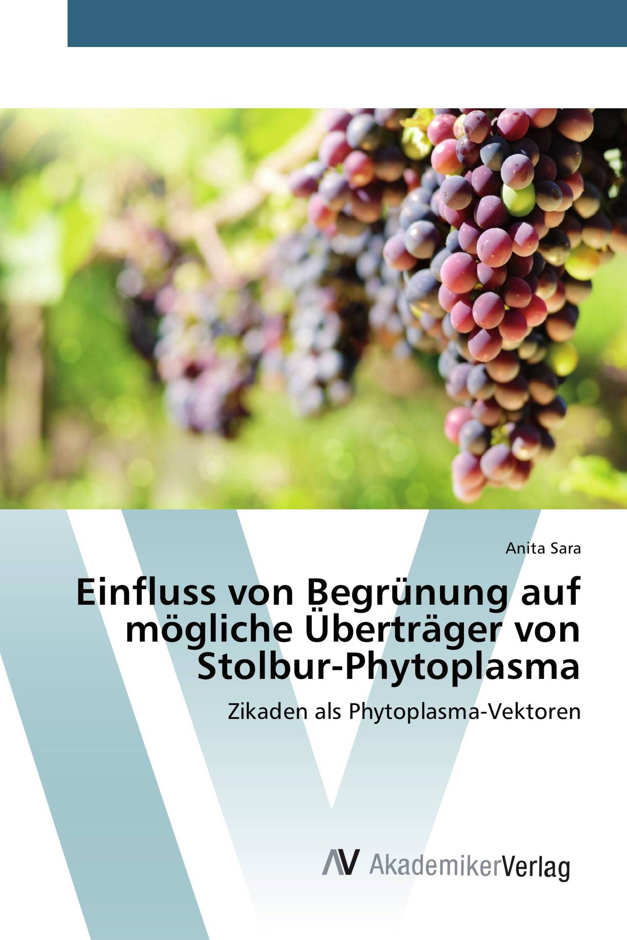 Einfluss von Begrünung auf mögliche Überträger von Stolbur-Phytoplasma