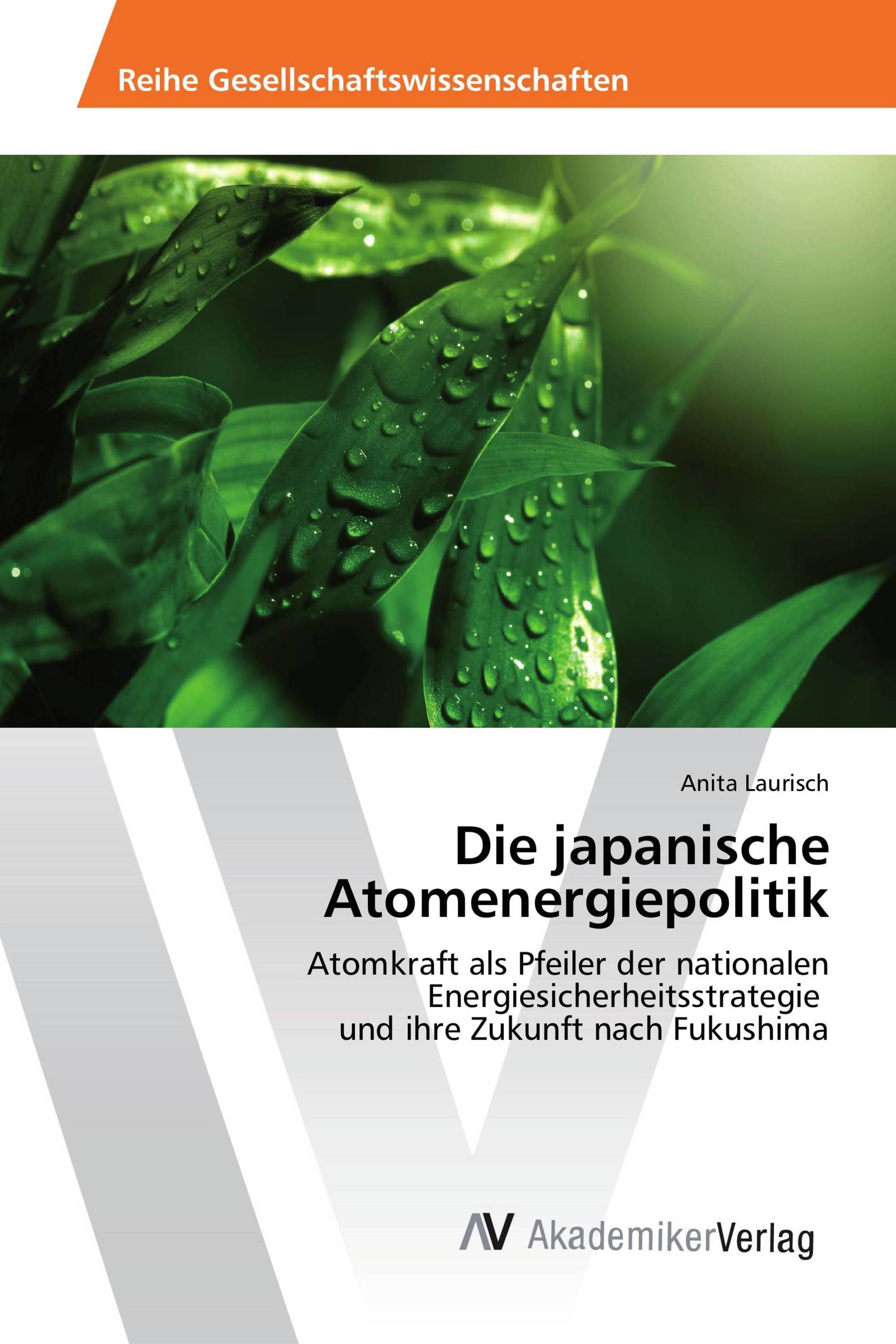 Die japanische Atomenergiepolitik