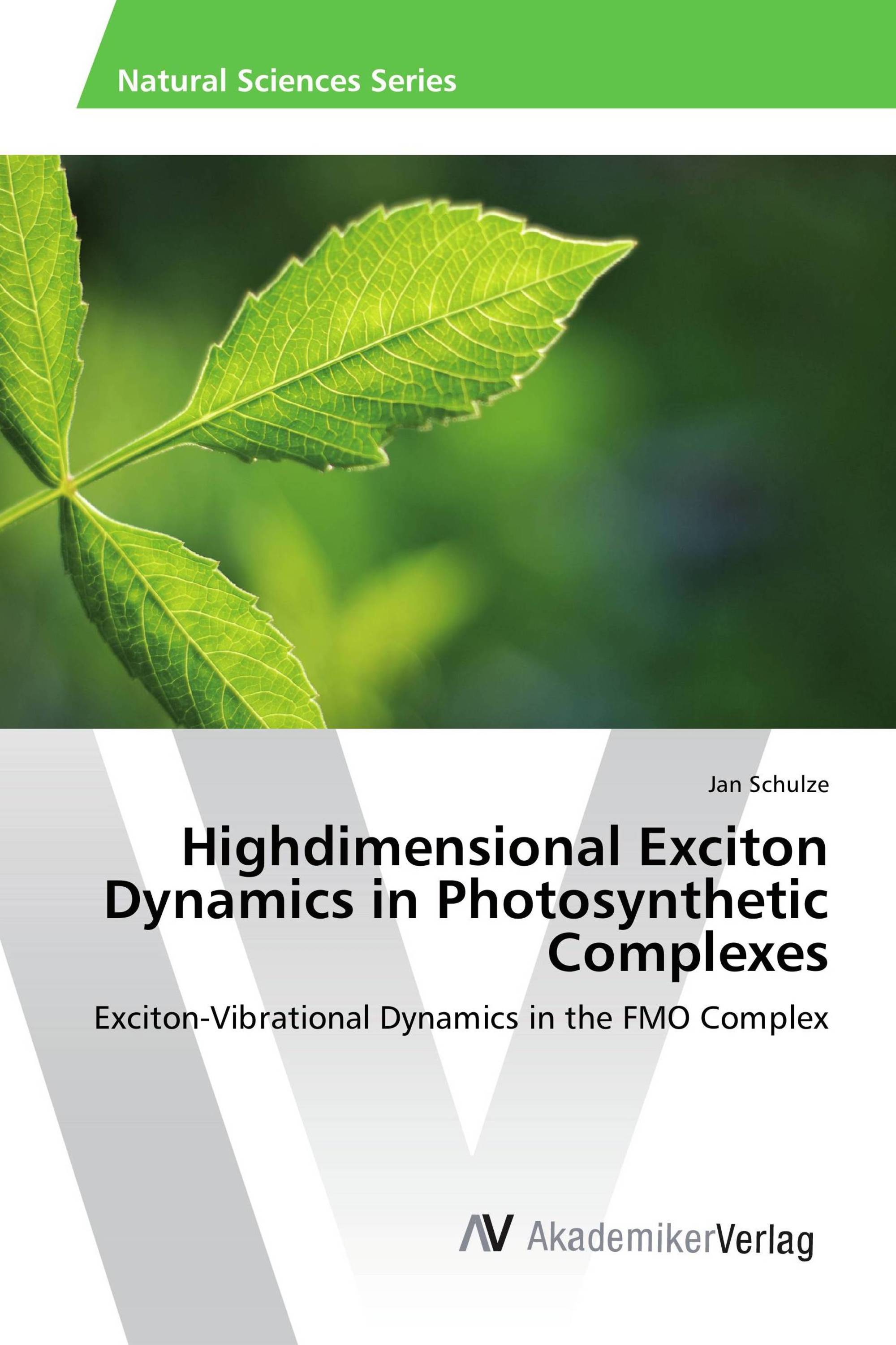 Highdimensional Exciton Dynamics in Photosynthetic Complexes