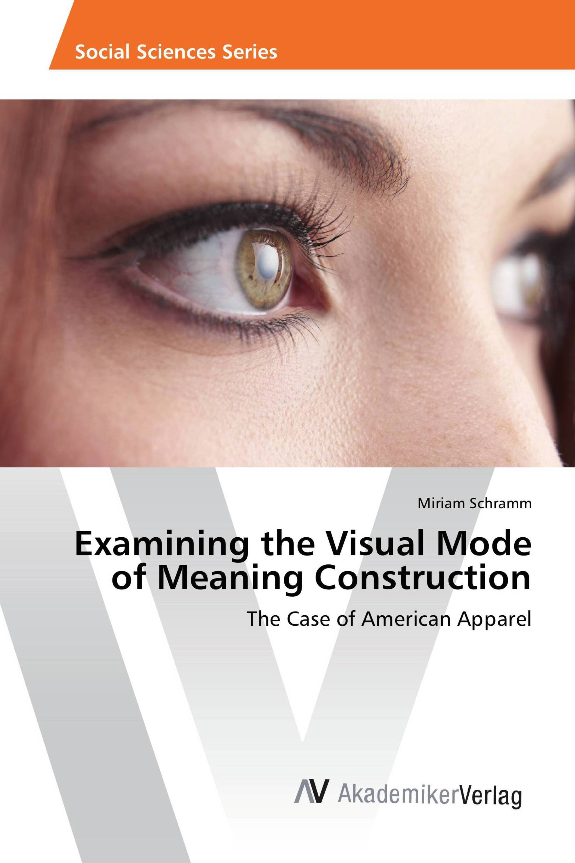 Examining the Visual Mode of Meaning Construction