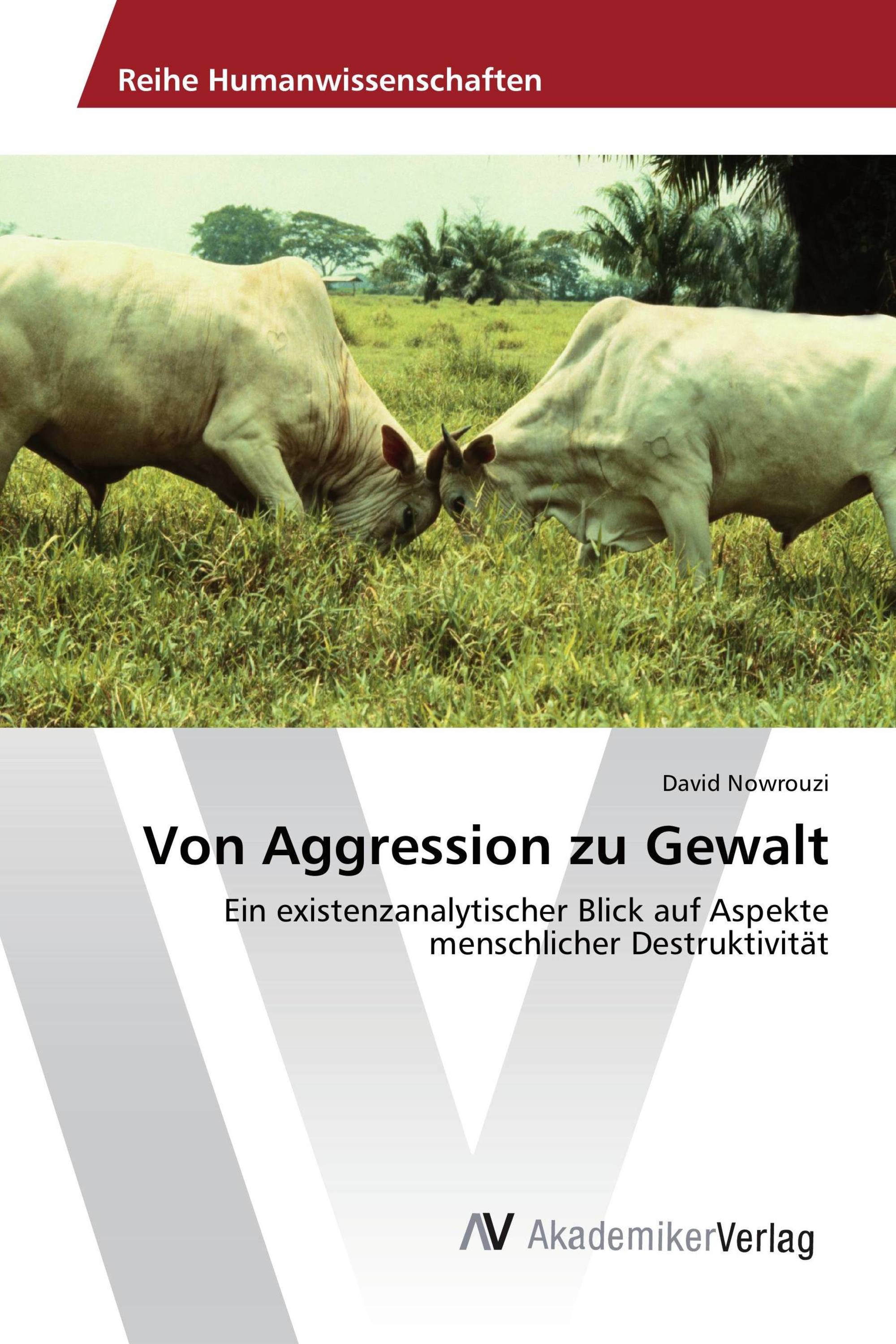 Von Aggression zu Gewalt