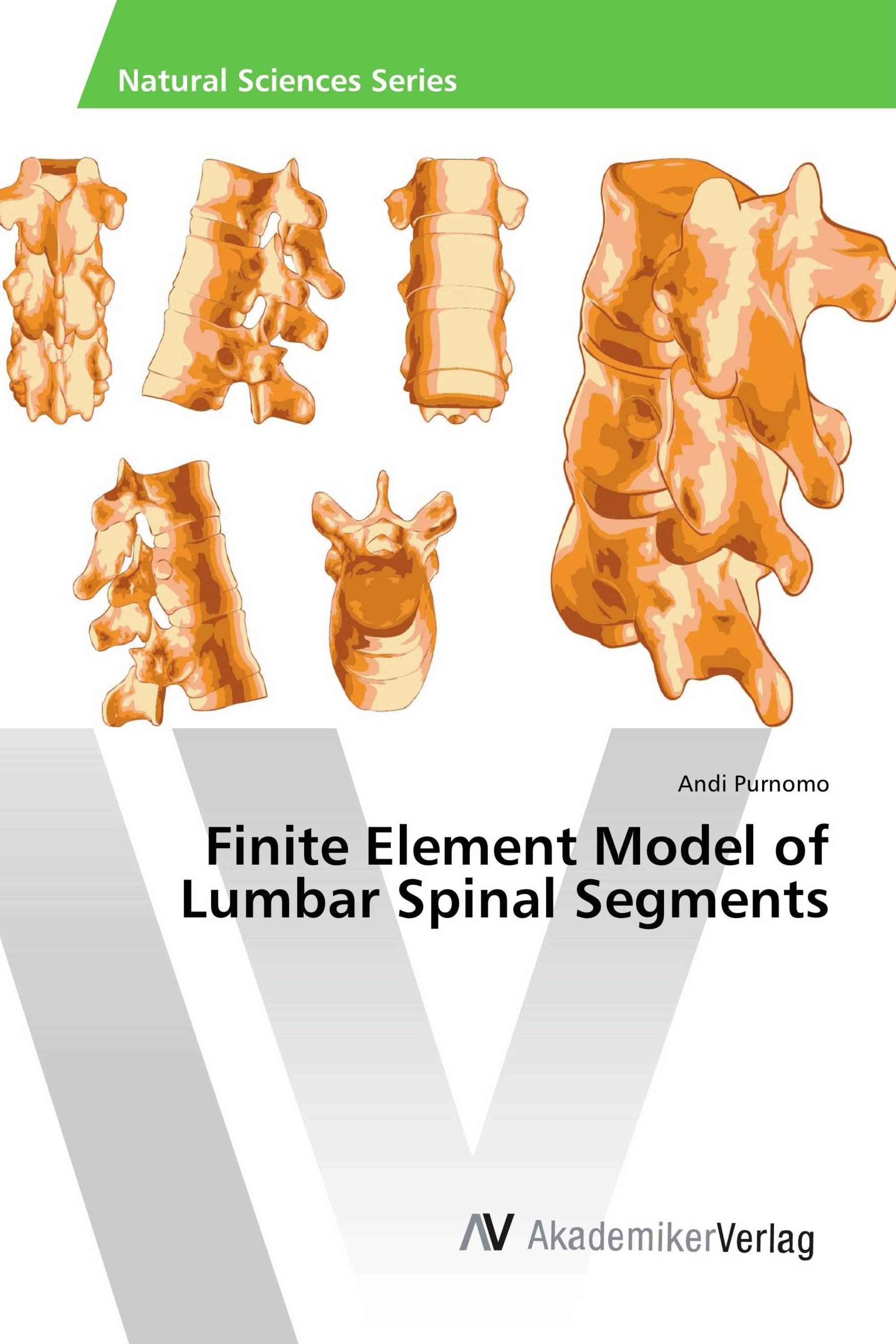 Finite Element Model of Lumbar Spinal Segments