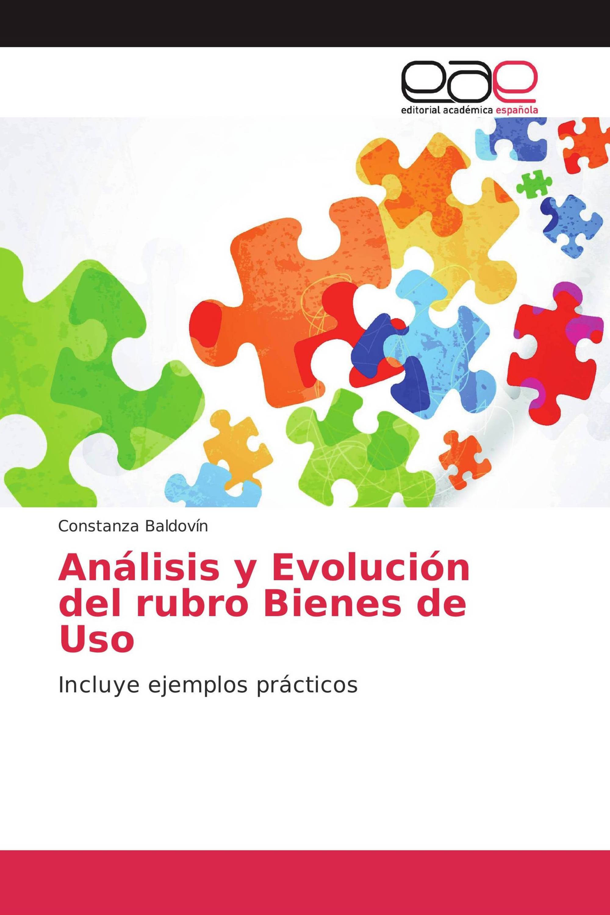 Análisis y Evolución del rubro Bienes de Uso