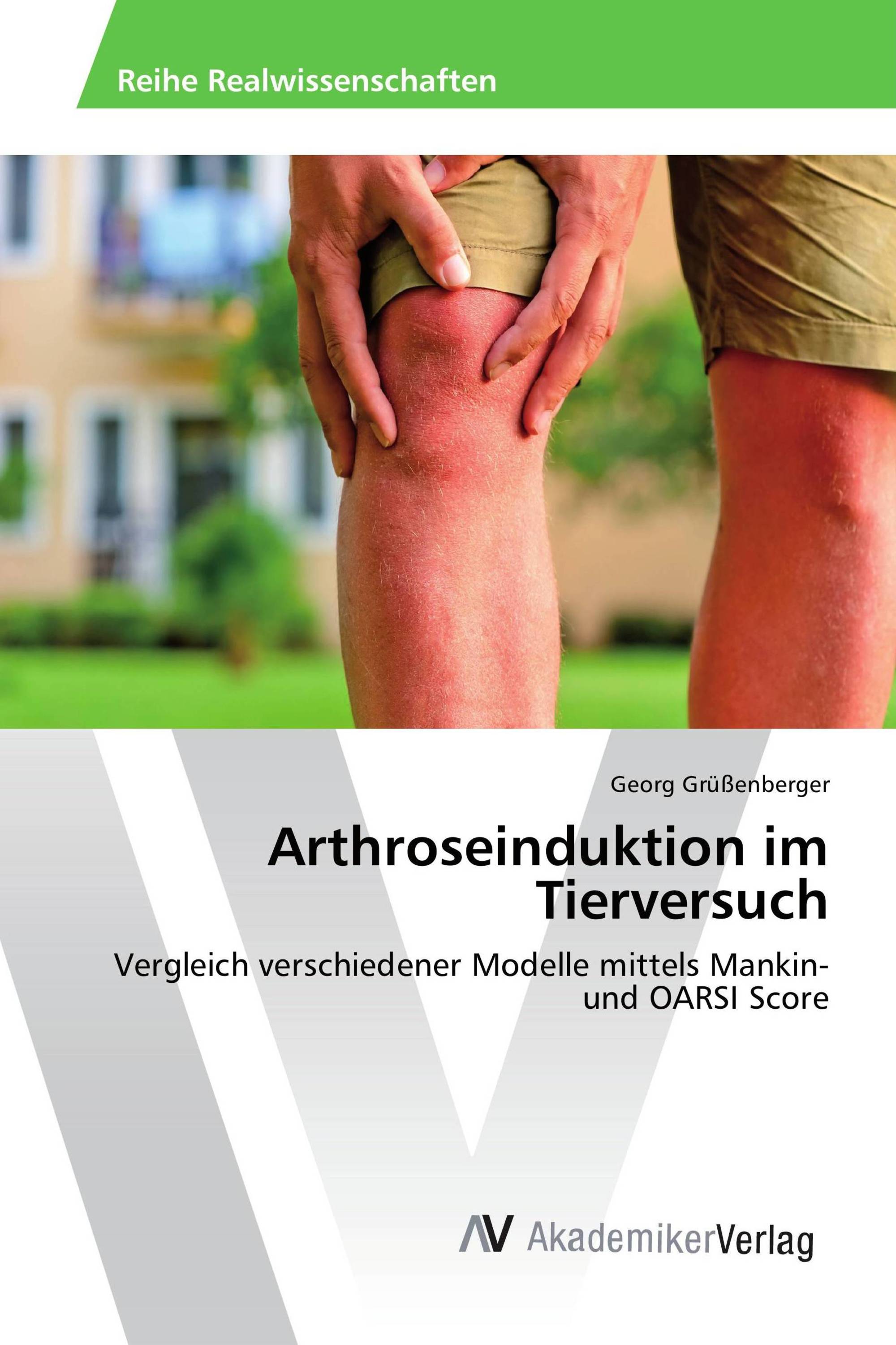 Arthroseinduktion im Tierversuch