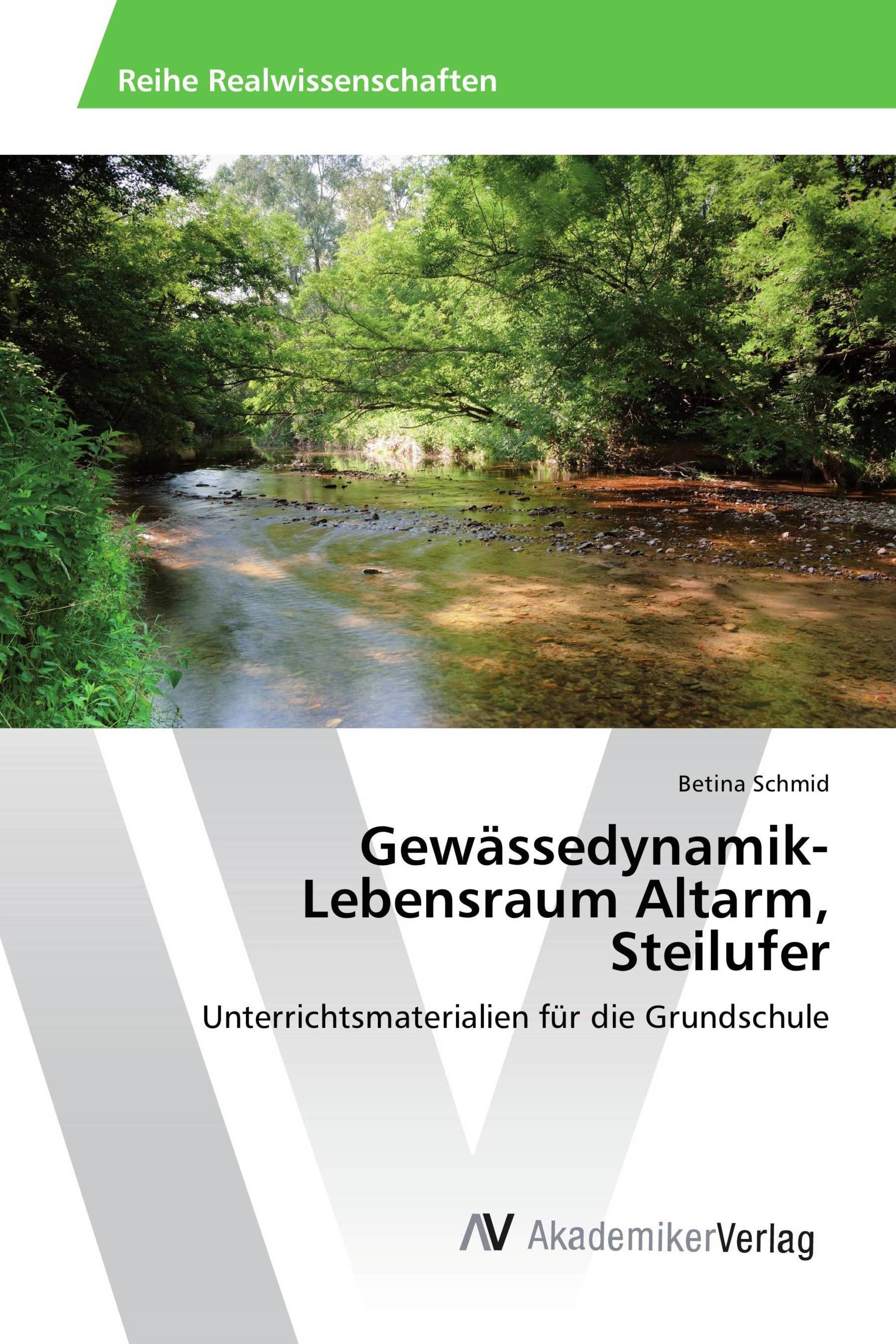 Gewässedynamik-Lebensraum Altarm, Steilufer