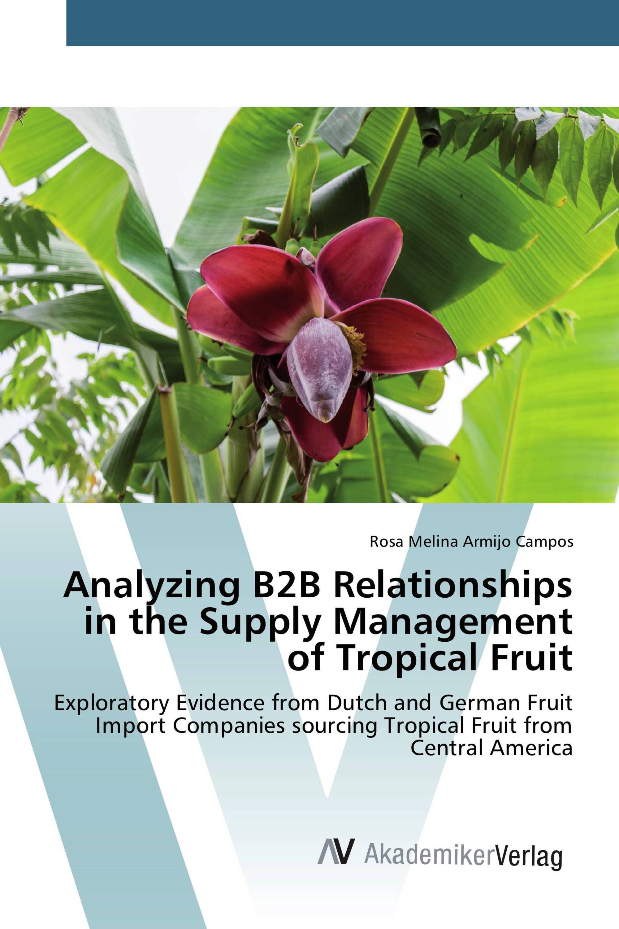 Analyzing B2B Relationships in the Supply Management of Tropical Fruit