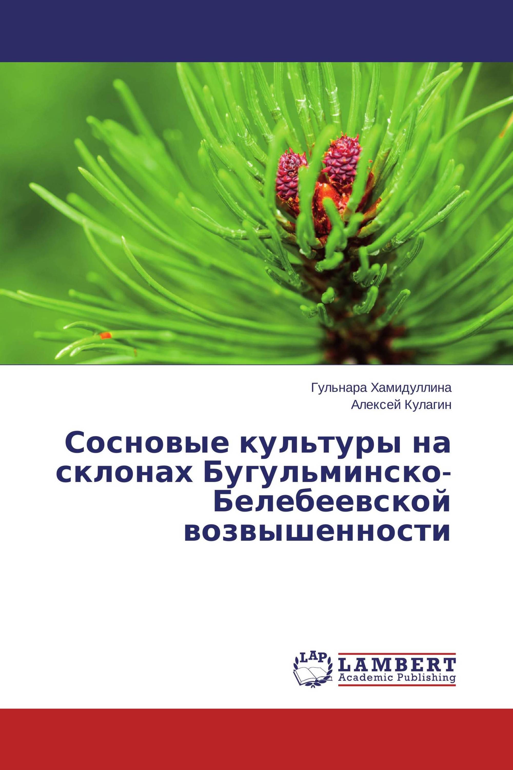 Сосновые культуры на склонах Бугульминско-Белебеевской возвышенности