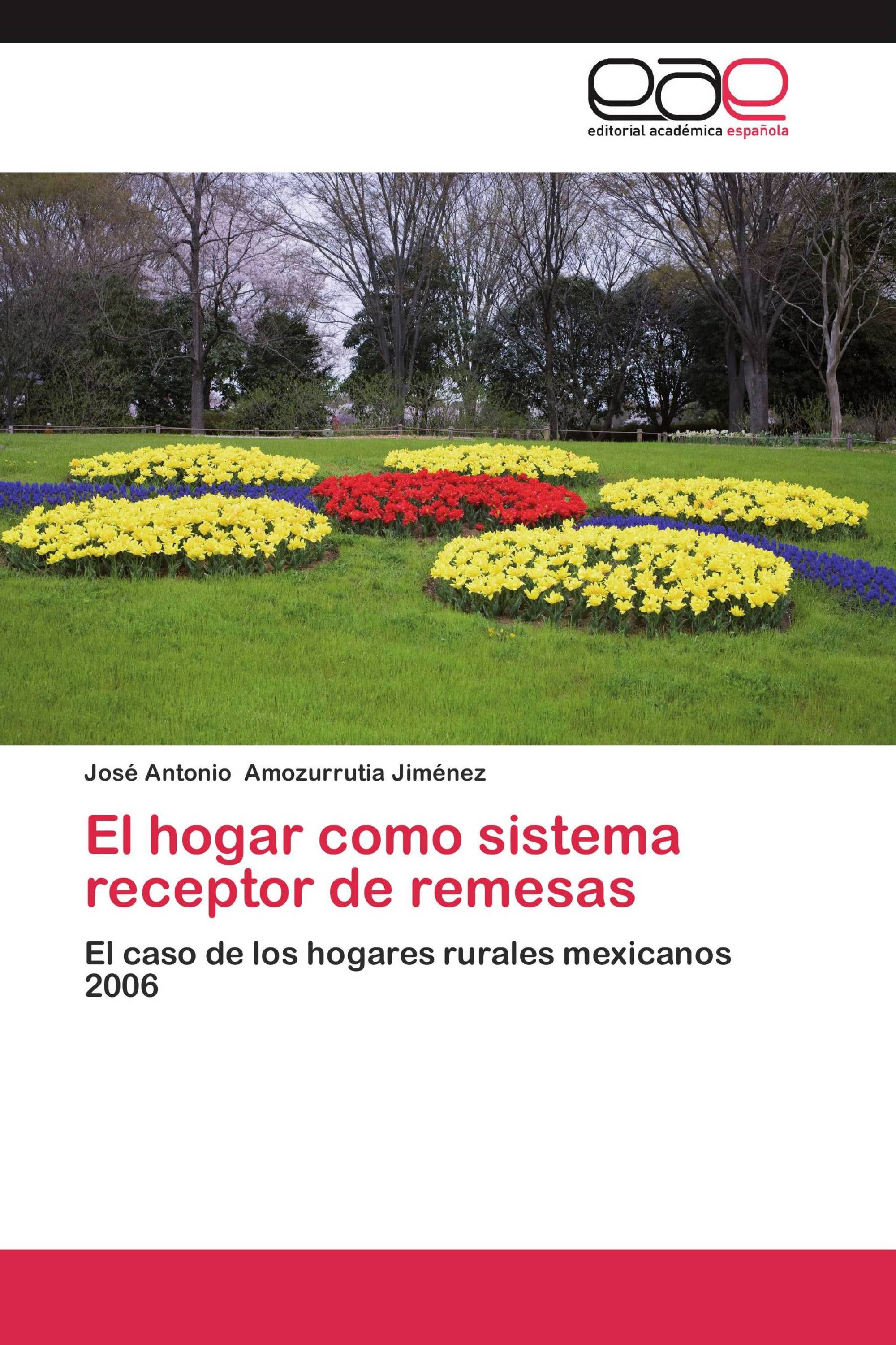 El hogar como sistema receptor de remesas