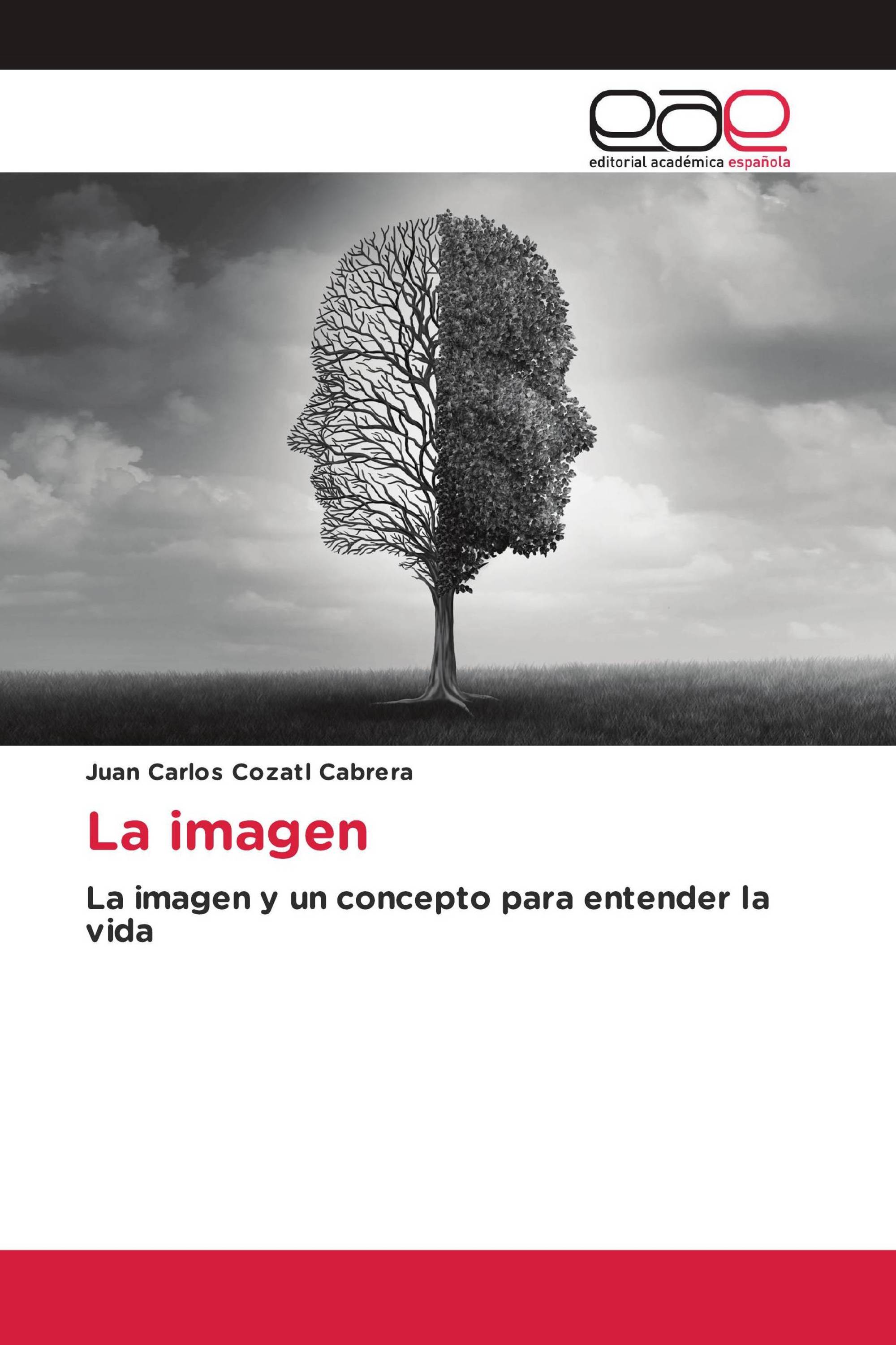 La imagen