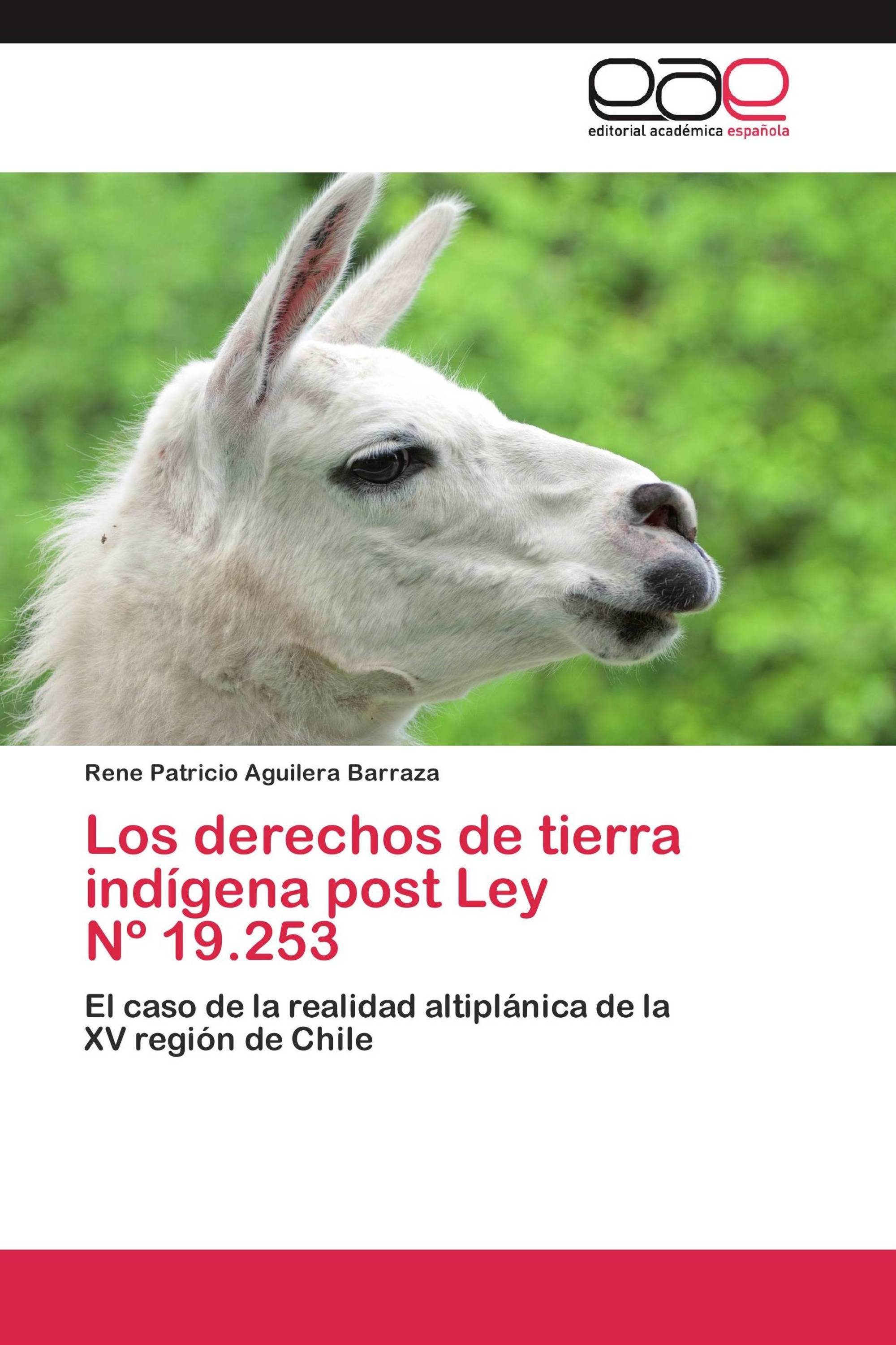 Los derechos de tierra indígena post Ley   Nº 19.253