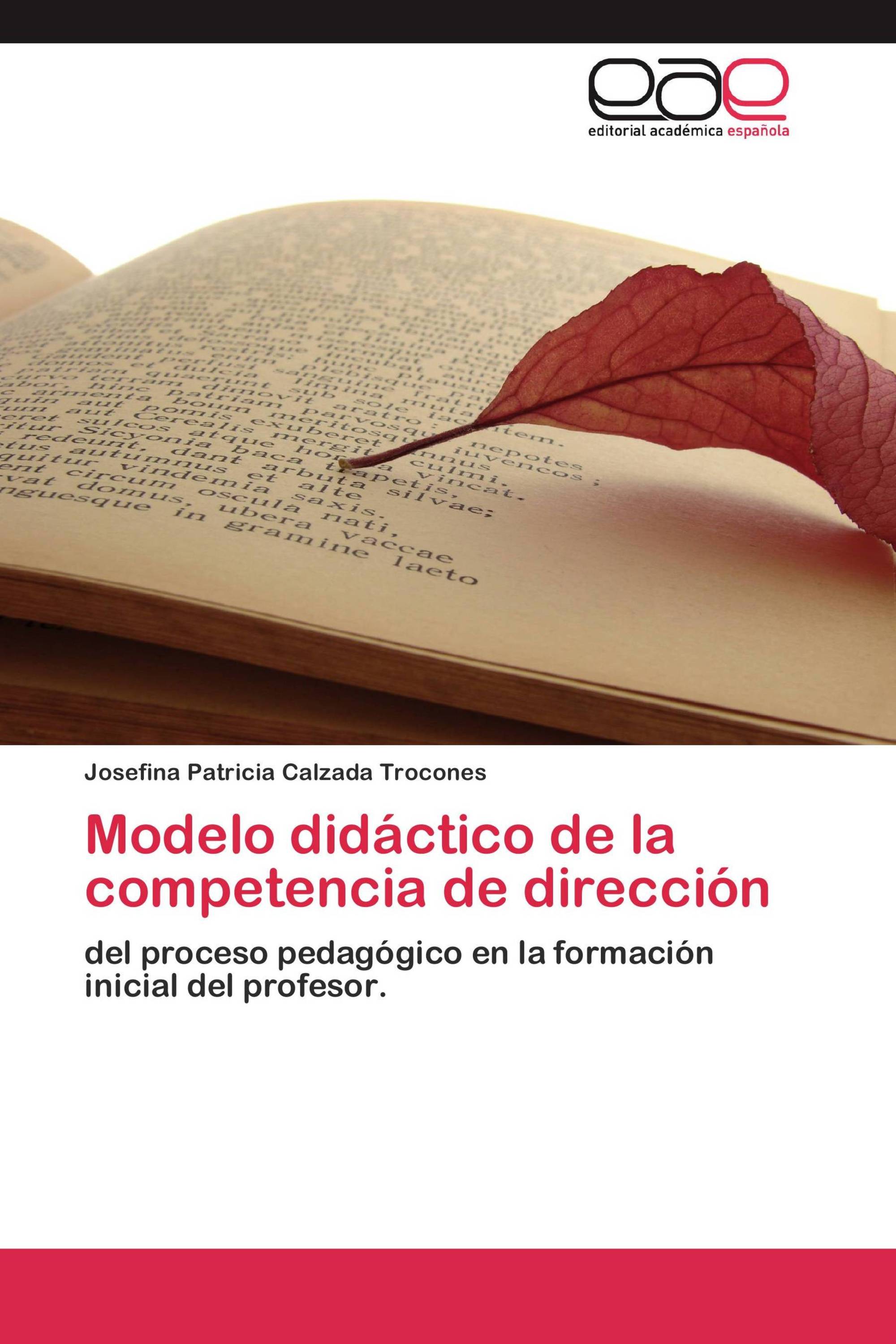 Modelo didáctico de la competencia de dirección