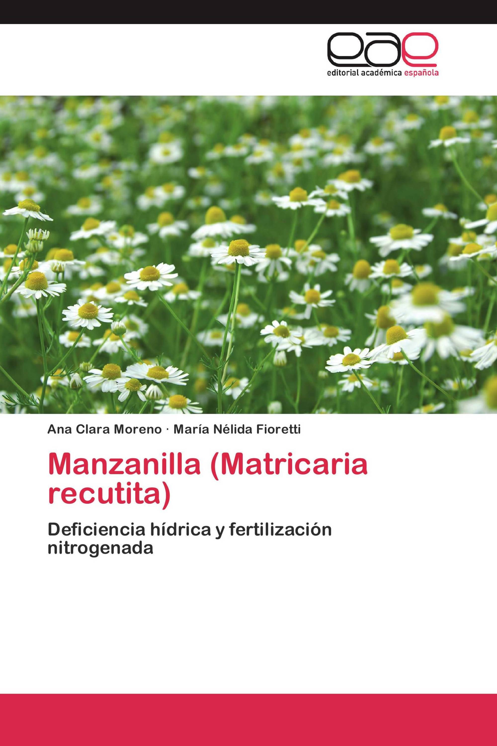 Manzanilla (Matricaria recutita)