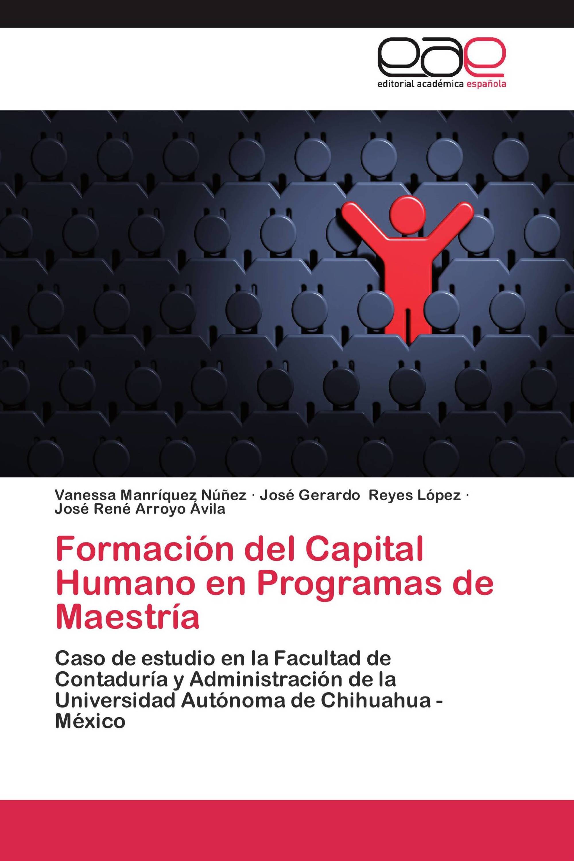 Formación del Capital Humano en Programas de Maestría