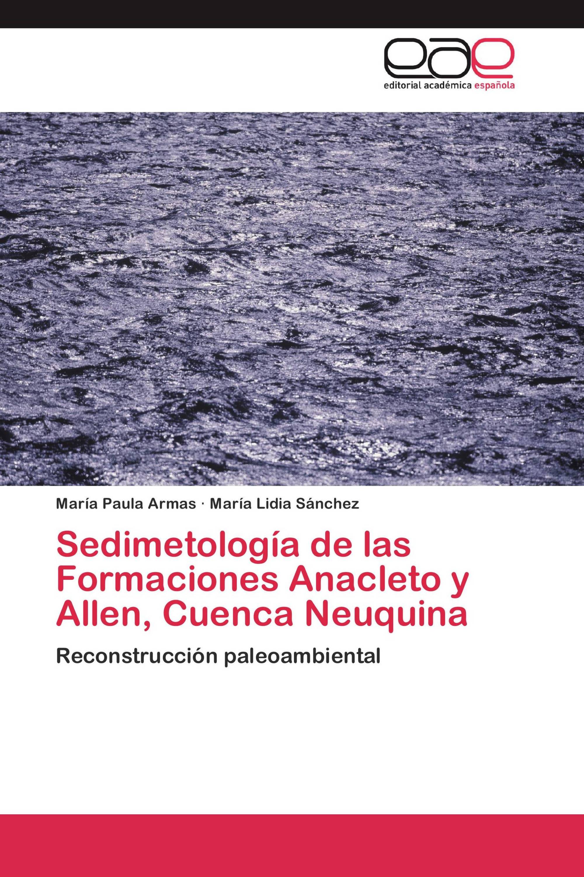 Sedimetología de las Formaciones Anacleto y Allen, Cuenca Neuquina