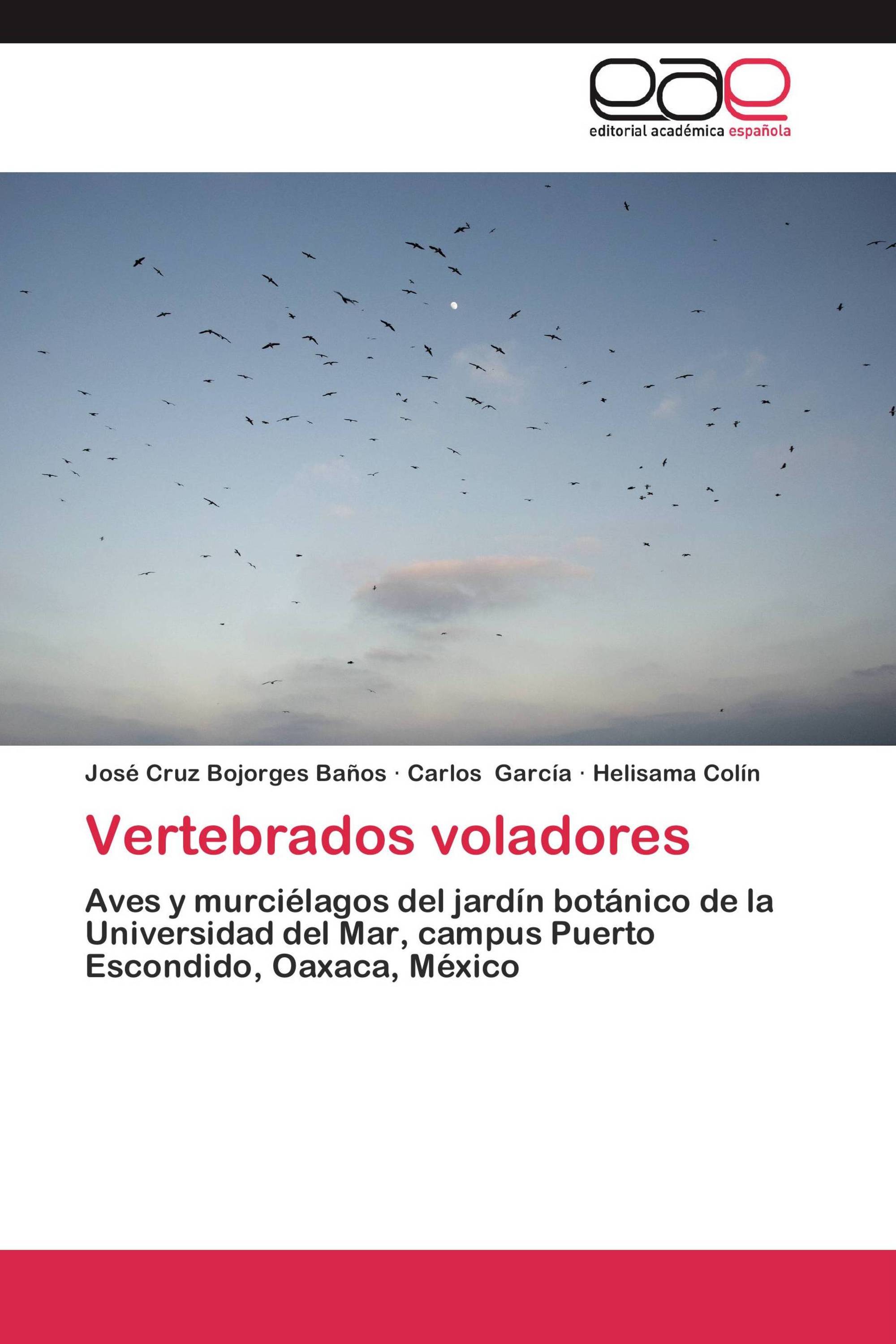 Vertebrados voladores