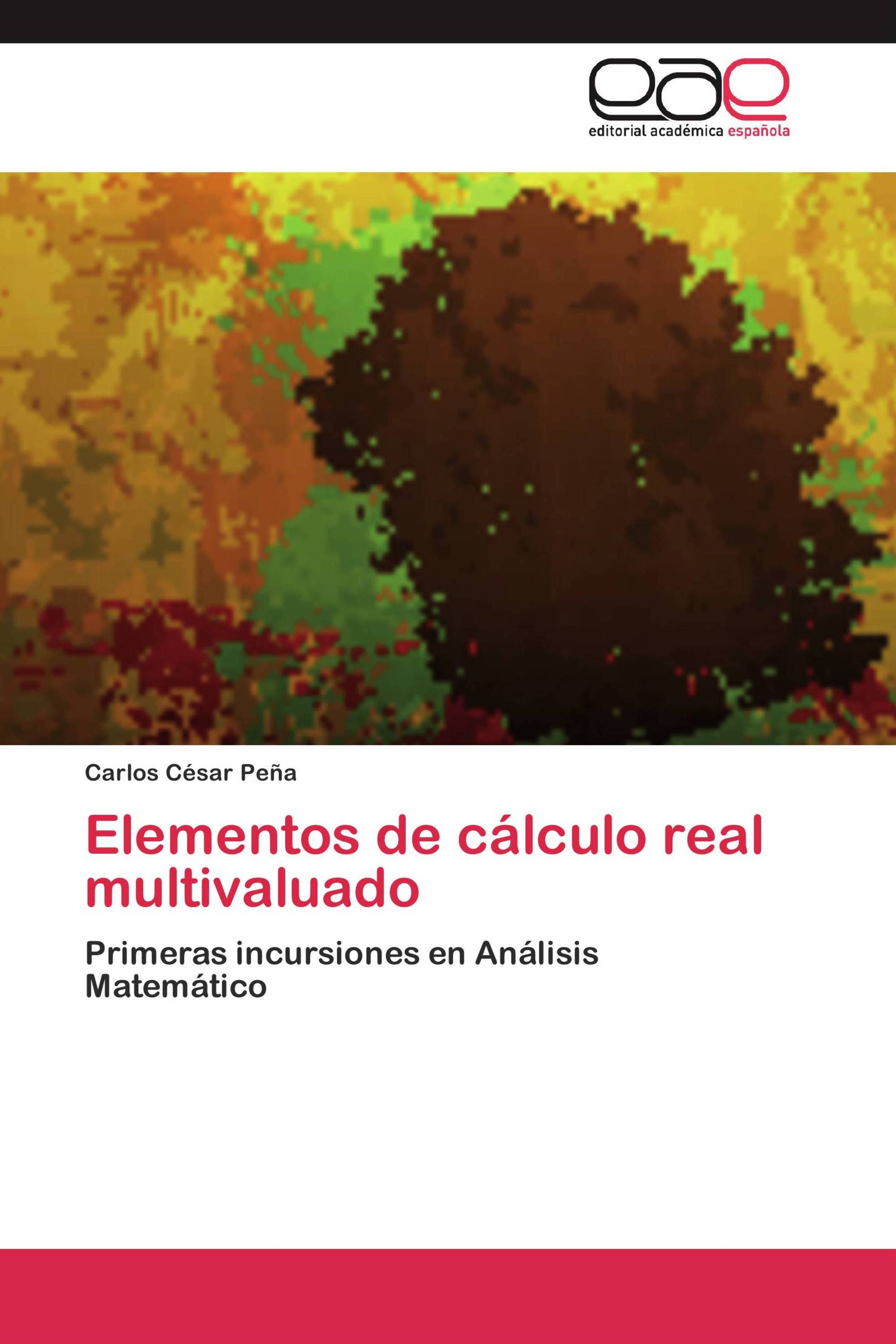 Elementos de cálculo real multivaluado