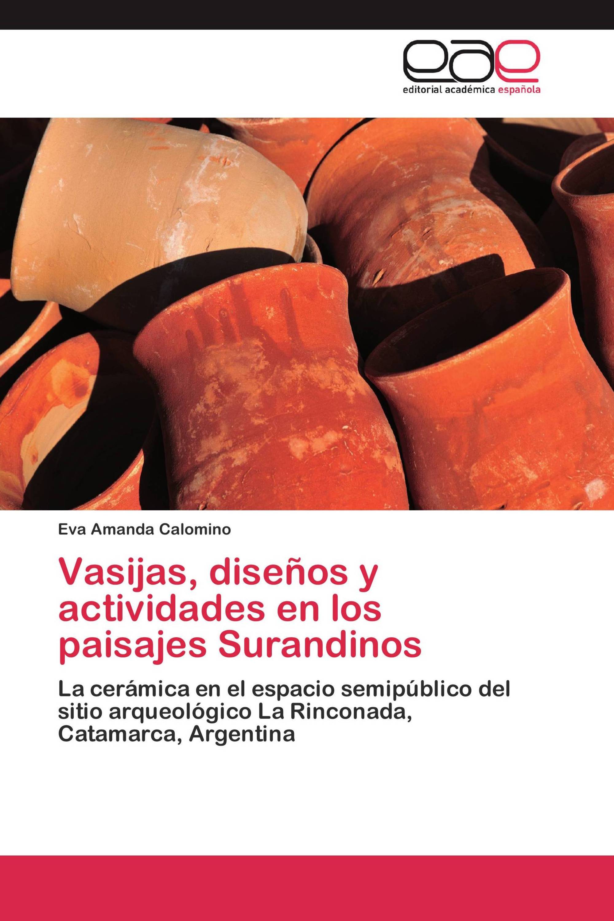 Vasijas, diseños y actividades en los paisajes Surandinos