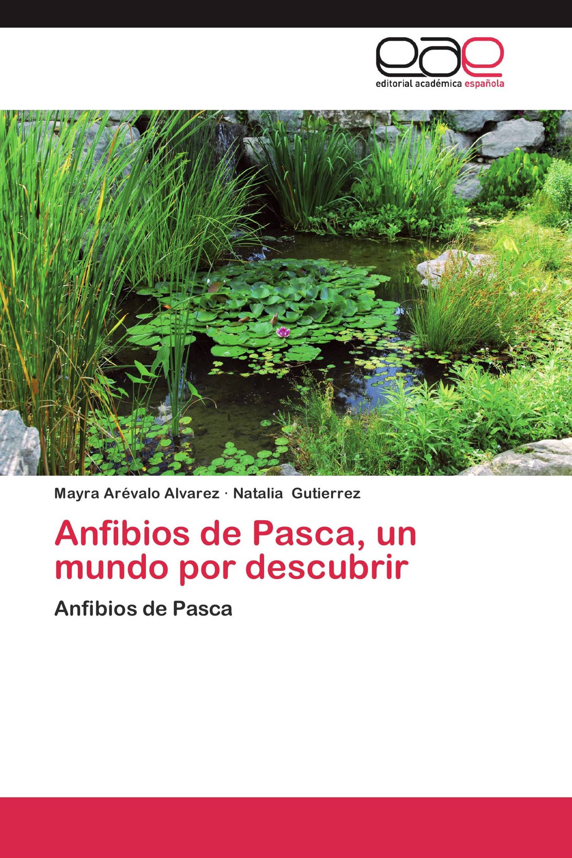 Anfibios de Pasca, un mundo por descubrir