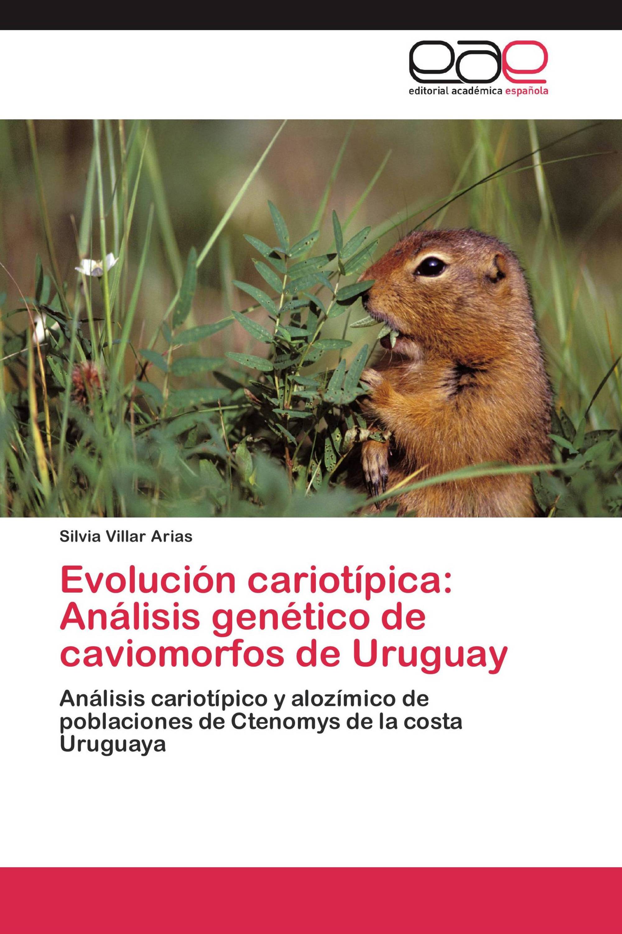 Evolución cariotípica: Análisis genético de    caviomorfos de Uruguay