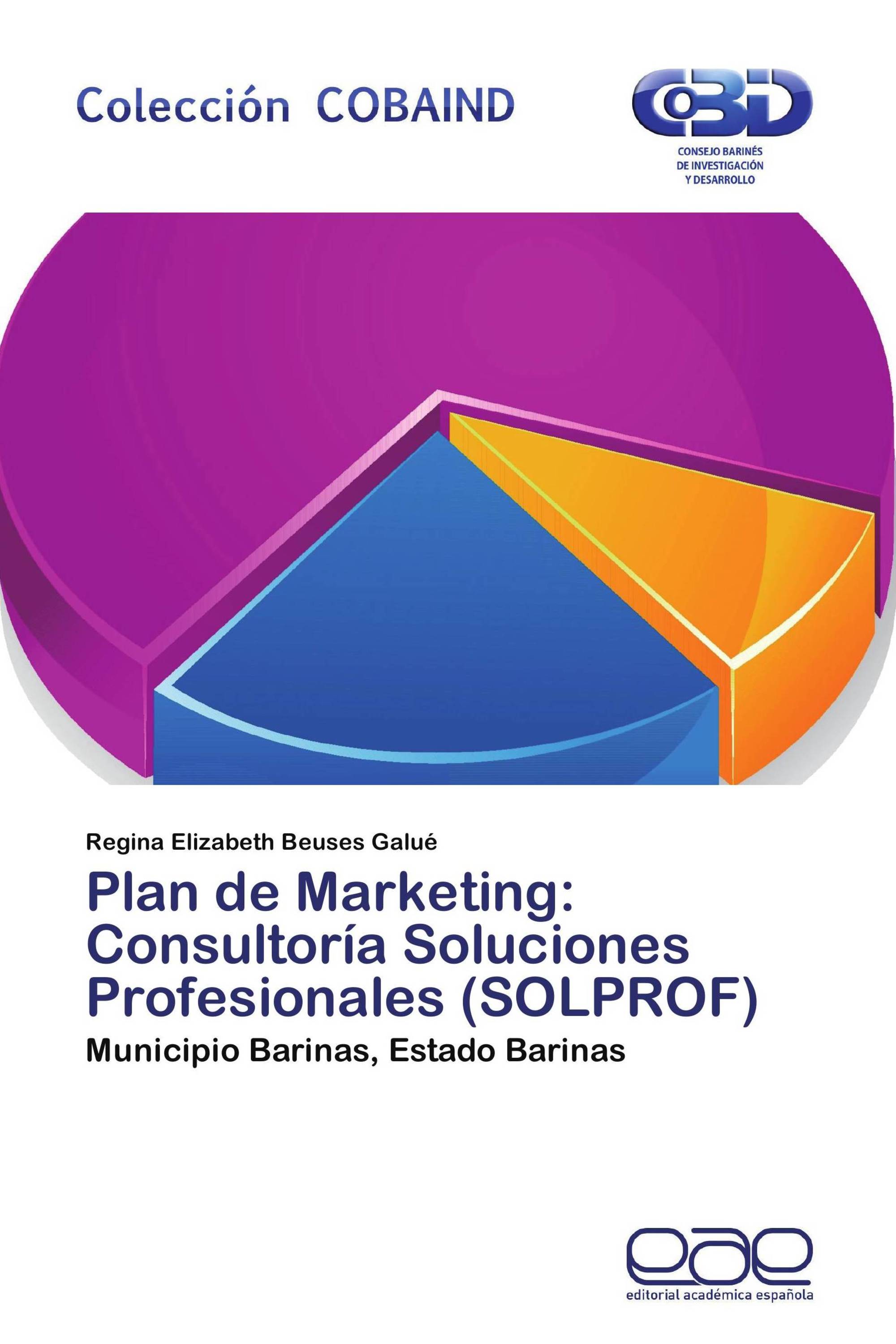 Plan de Marketing: Consultoría Soluciones Profesionales (SOLPROF)