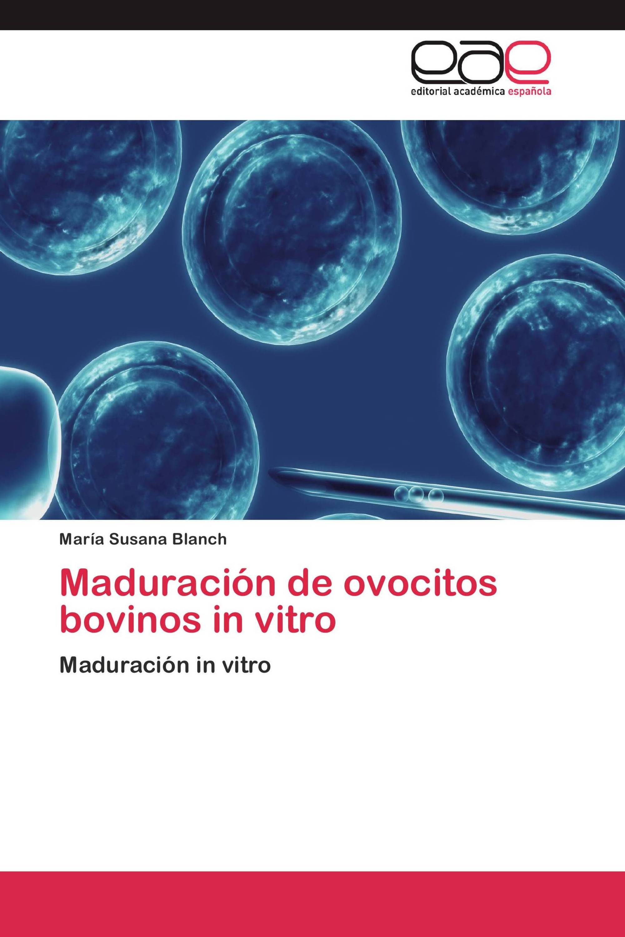 Maduración de ovocitos bovinos in vitro