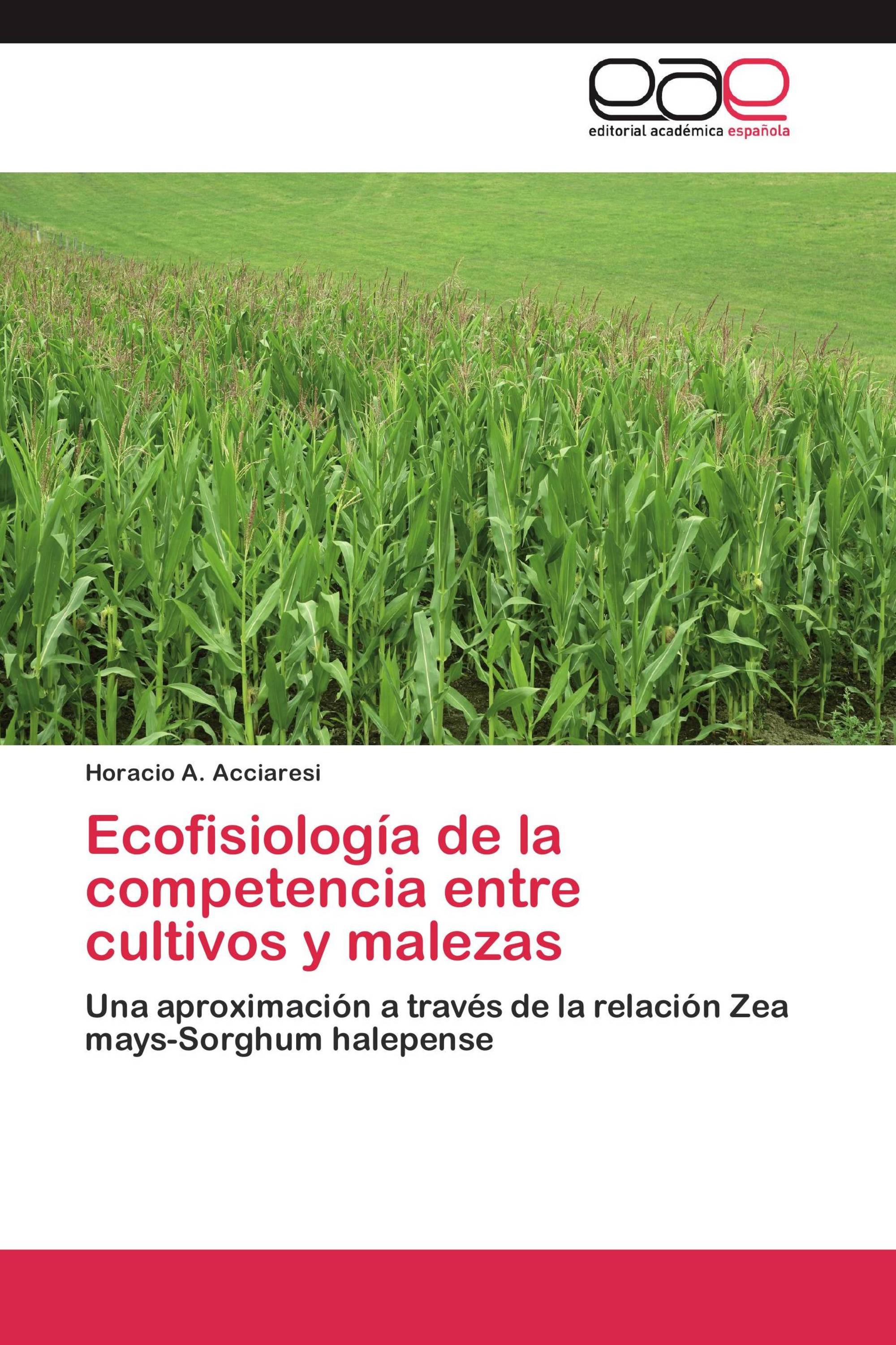 Ecofisiología de la competencia entre cultivos y malezas