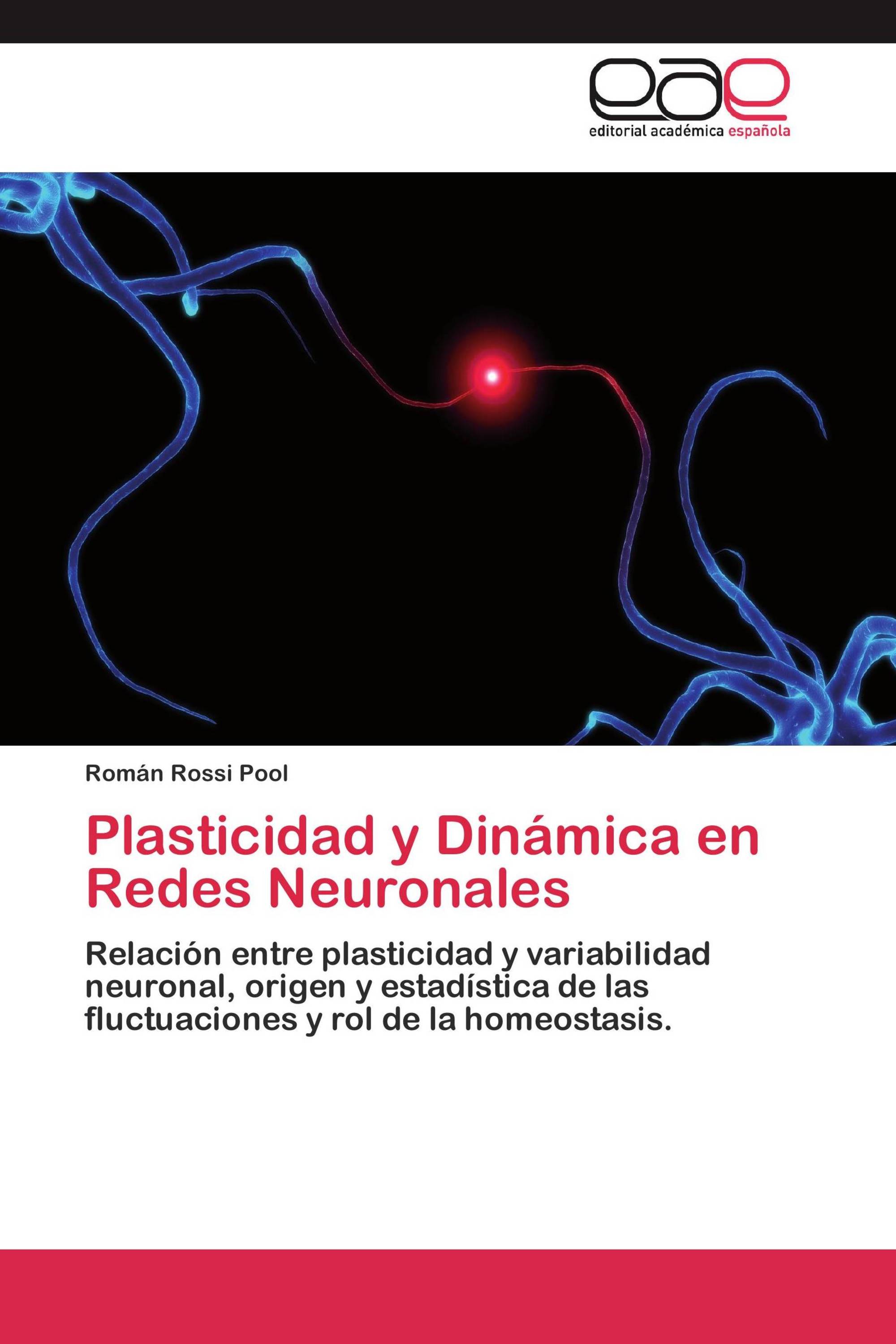 Plasticidad y Dinámica en Redes Neuronales